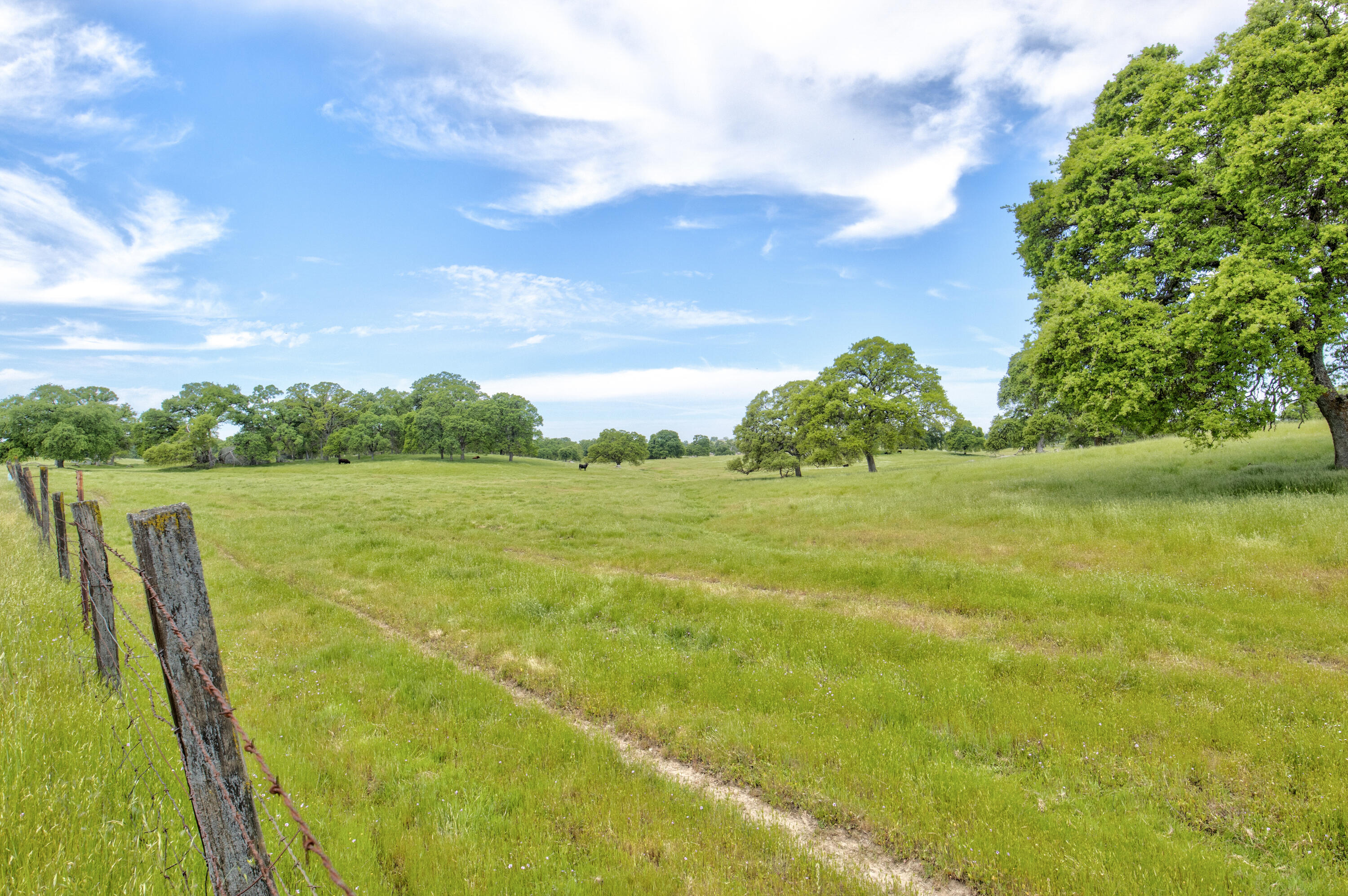 1985 White Rock Rd, Le Grand, CA 95333