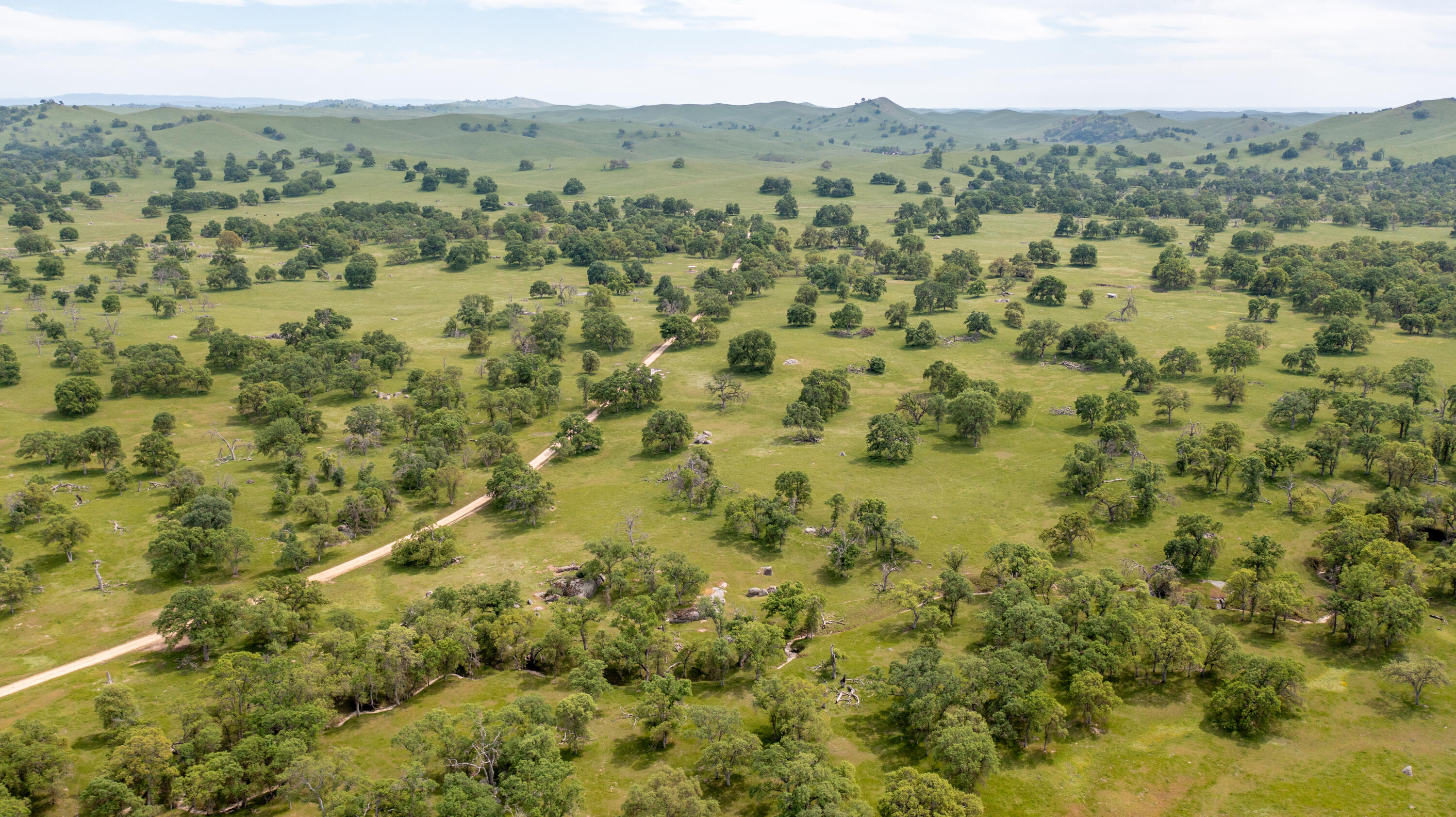 1985 White Rock Rd, Le Grand, CA 95333