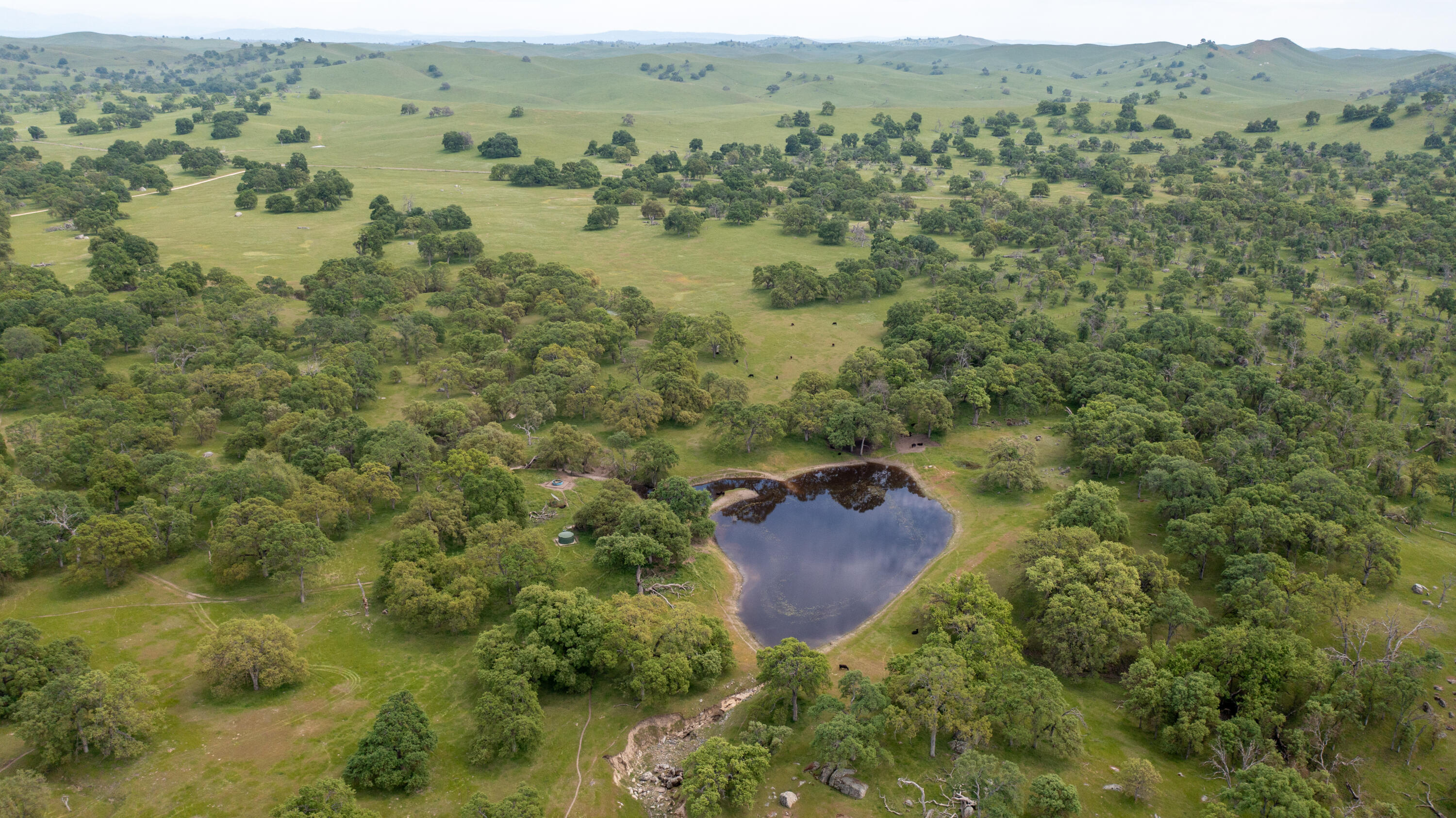 1985 White Rock Rd, Le Grand, CA 95333