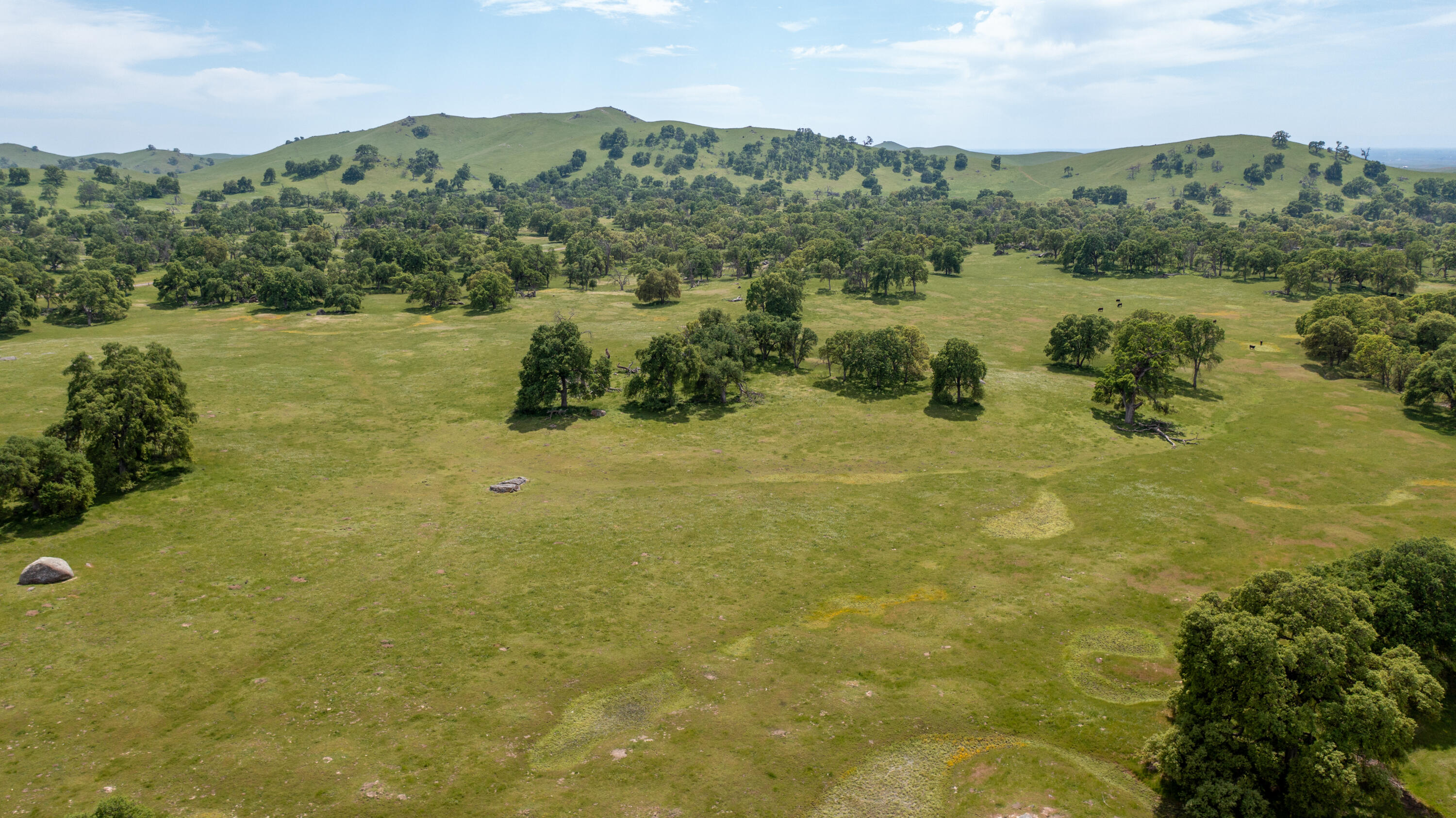 1985 White Rock Rd, Le Grand, CA 95333