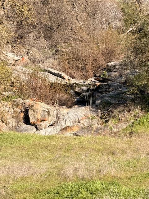 38266 Willowood Ln, Yokuts Valley, CA 93675