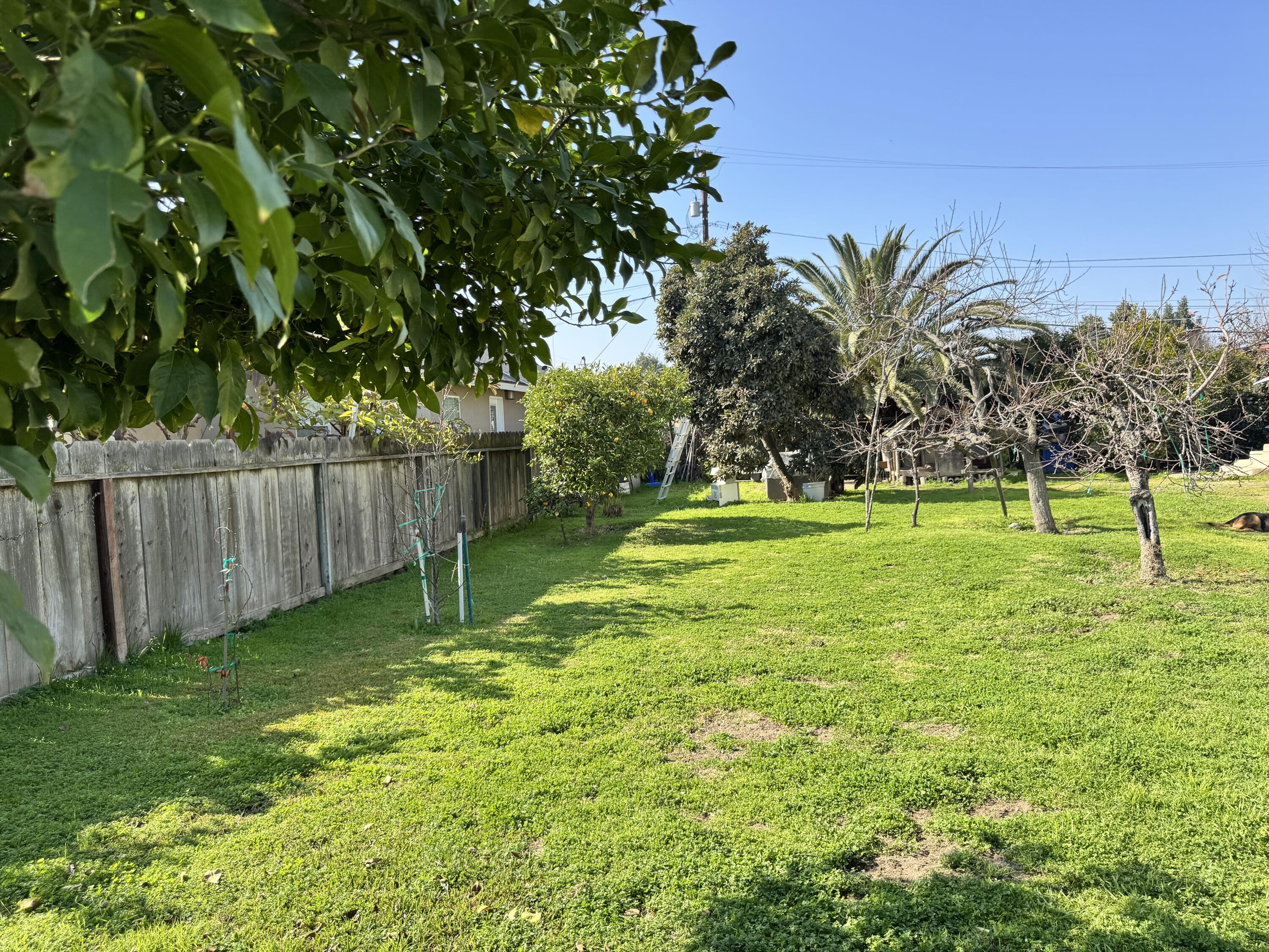 . S Cornell St, Porterville, CA 93257