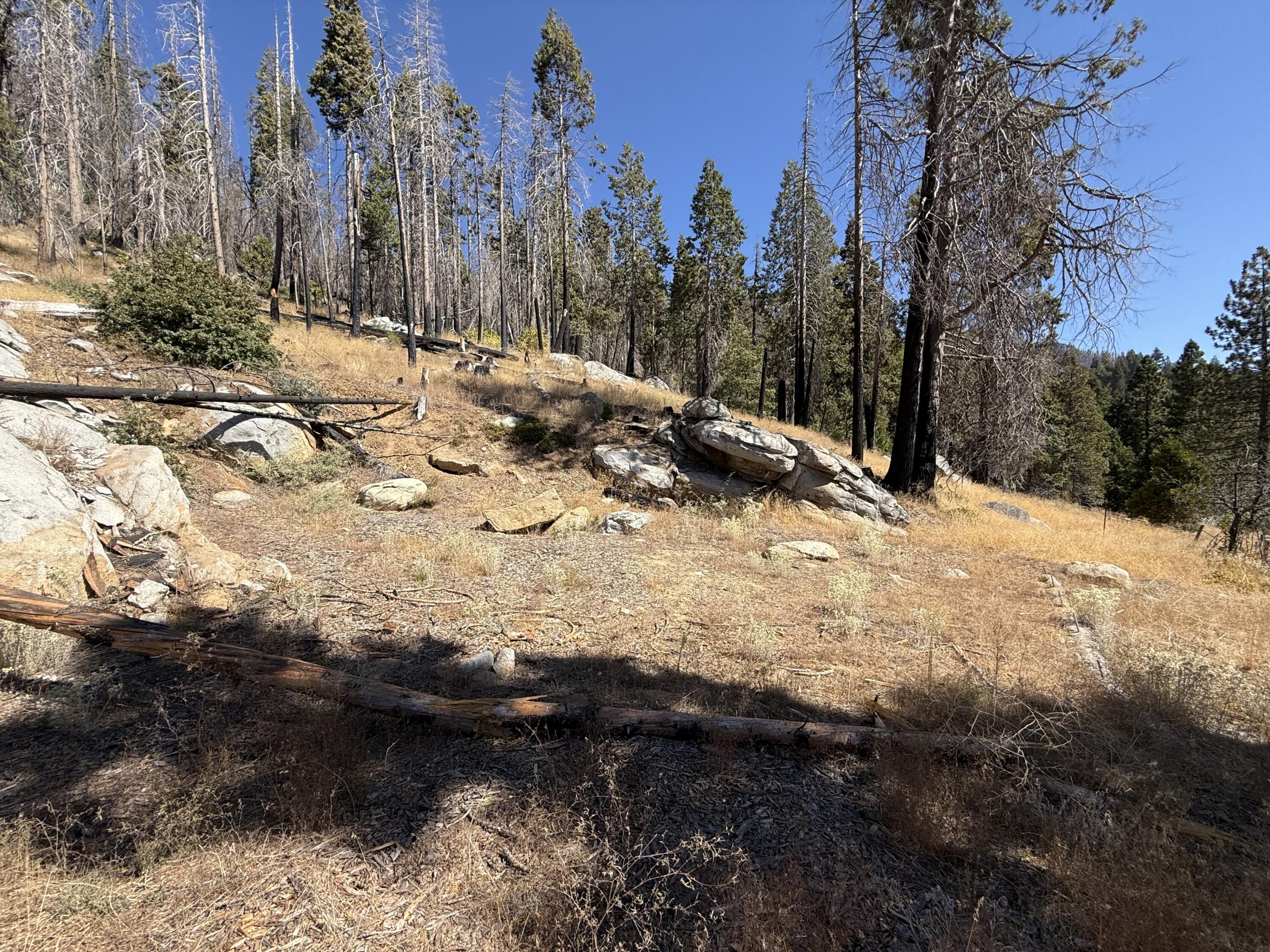 52762 Redwood Dr, Springville, CA 93265