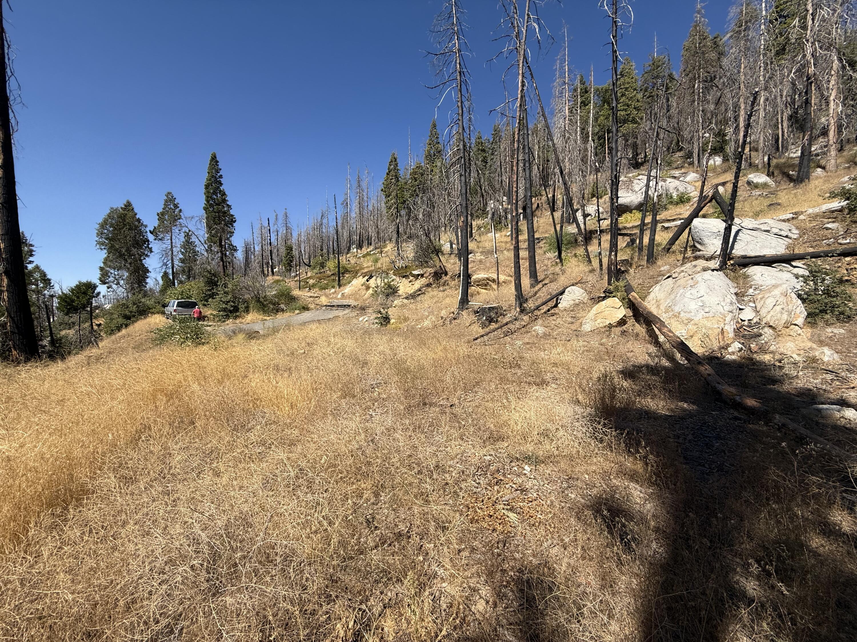 52762 Redwood Dr, Springville, CA 93265