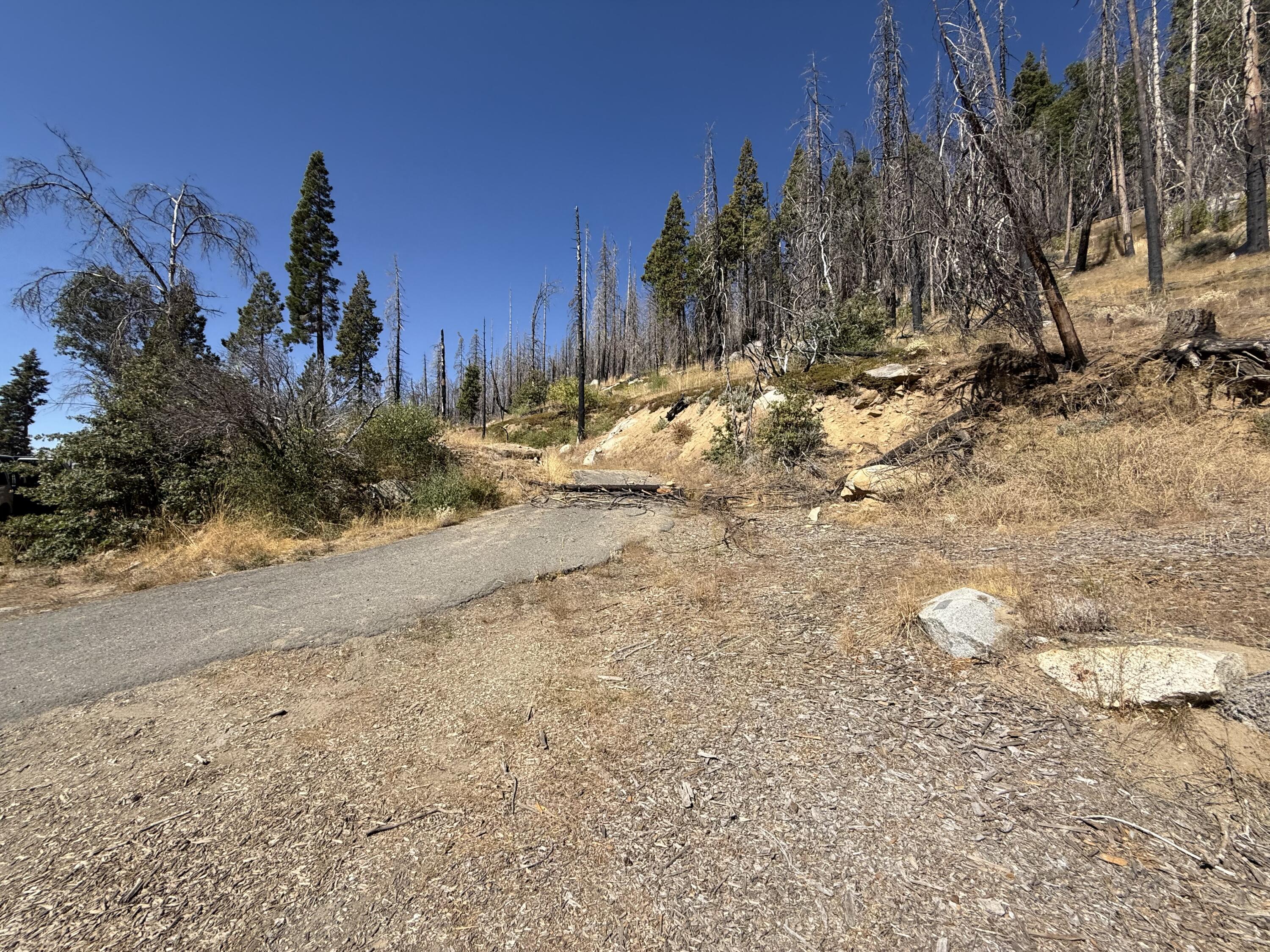 52762 Redwood Dr, Springville, CA 93265