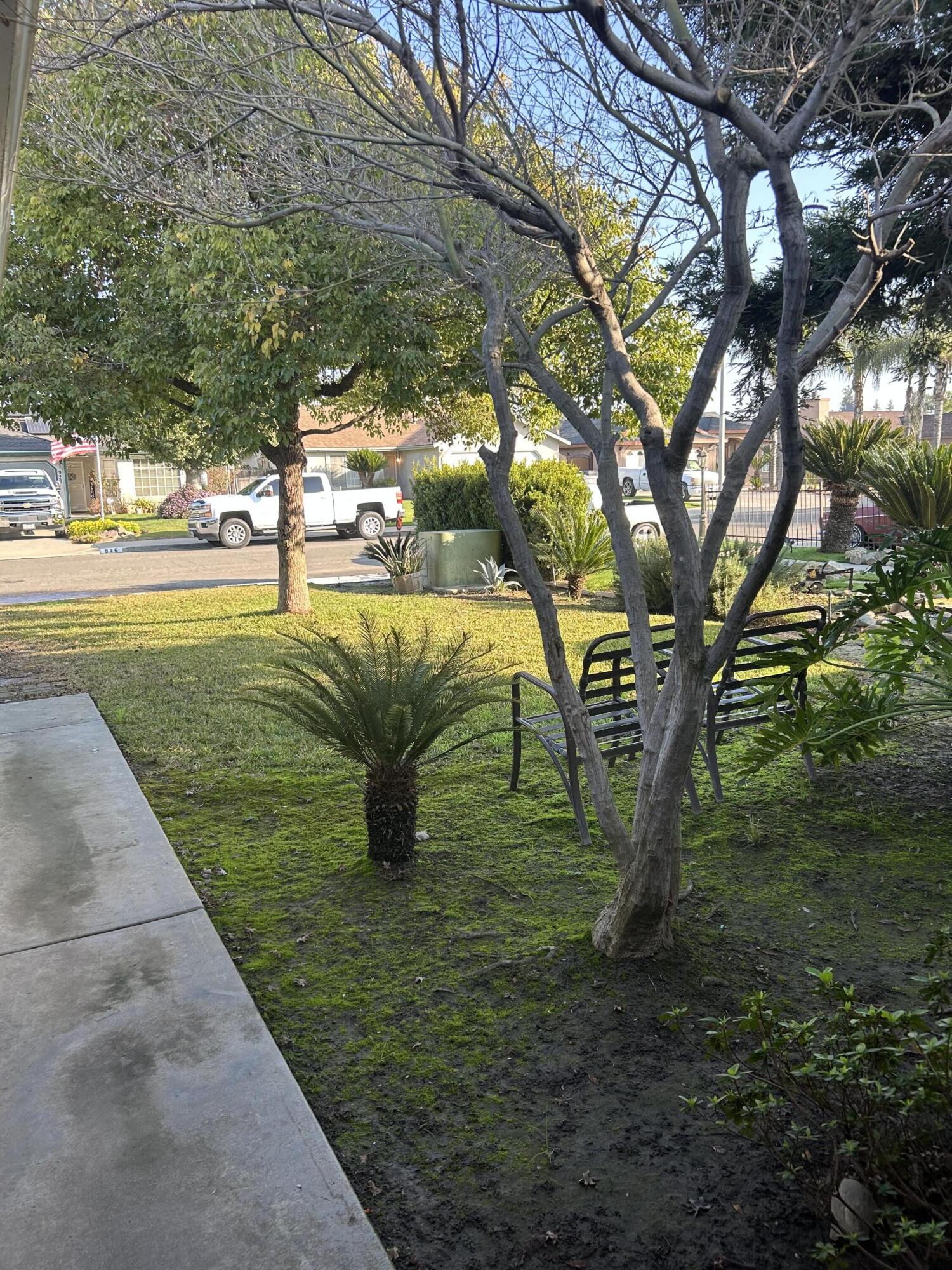 925 W Petunia St, Farmersville, CA 93223