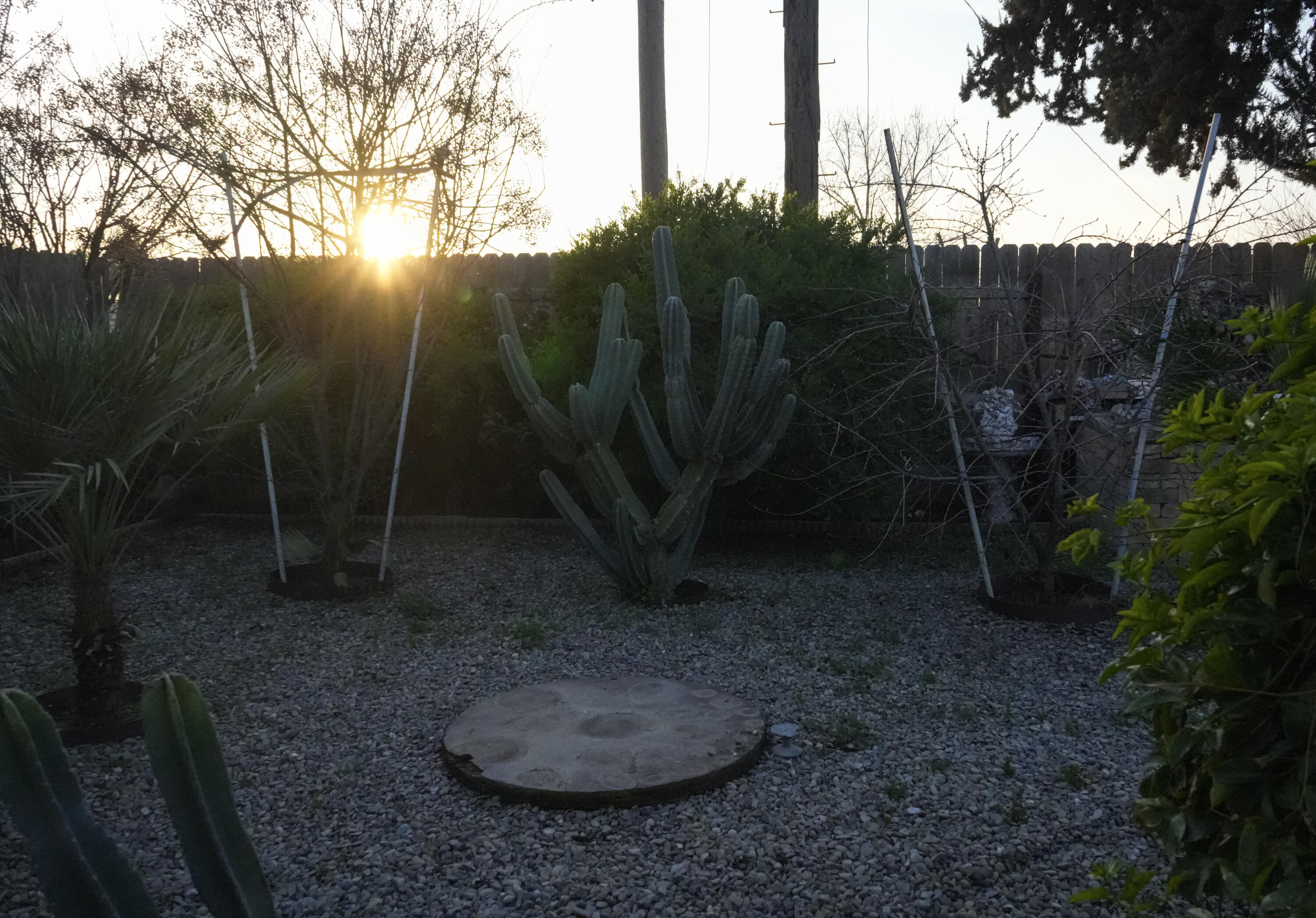 1705 E Foster Dr #B, Tulare, CA 93274