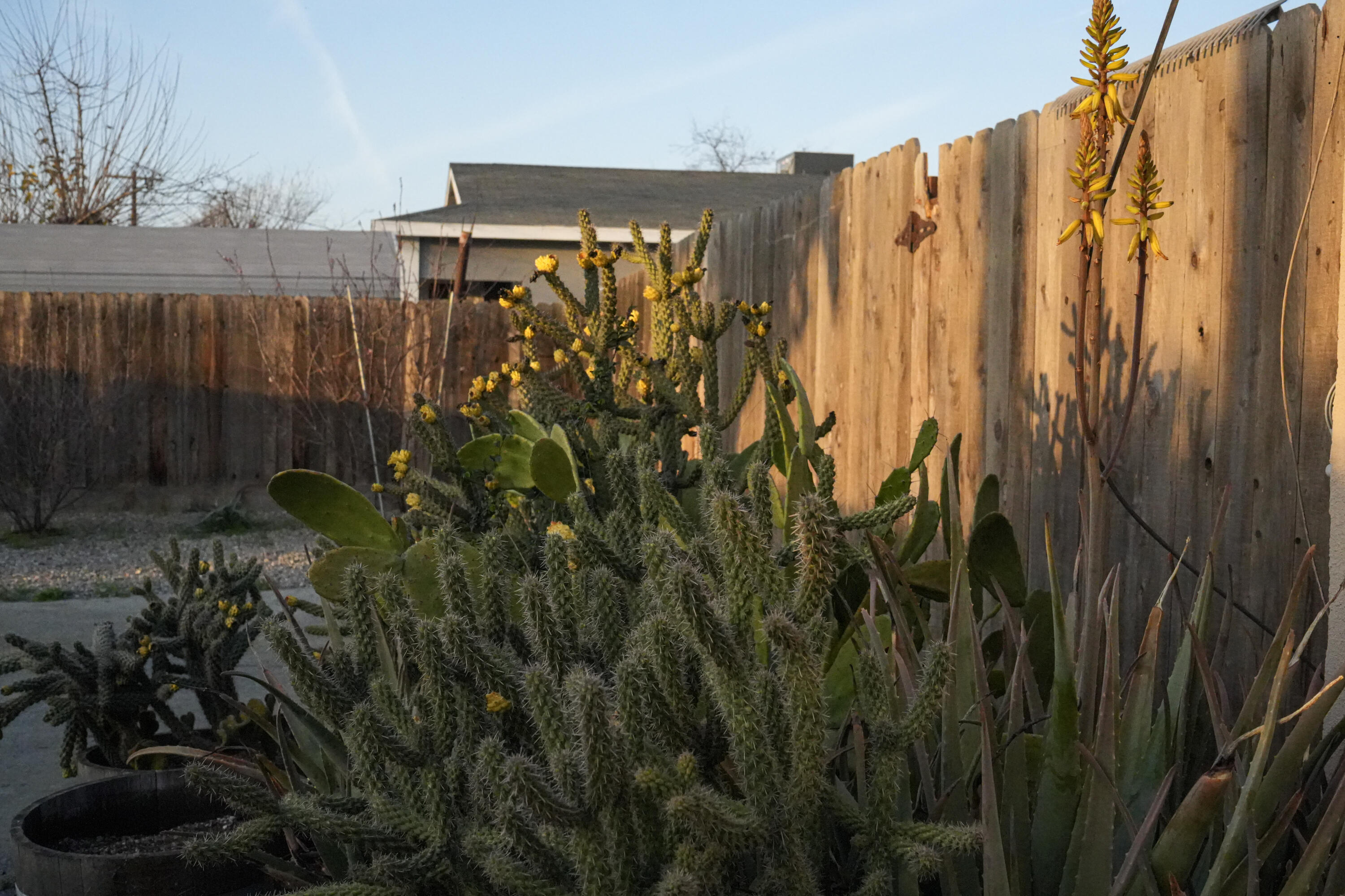 1705 E Foster Dr #B, Tulare, CA 93274