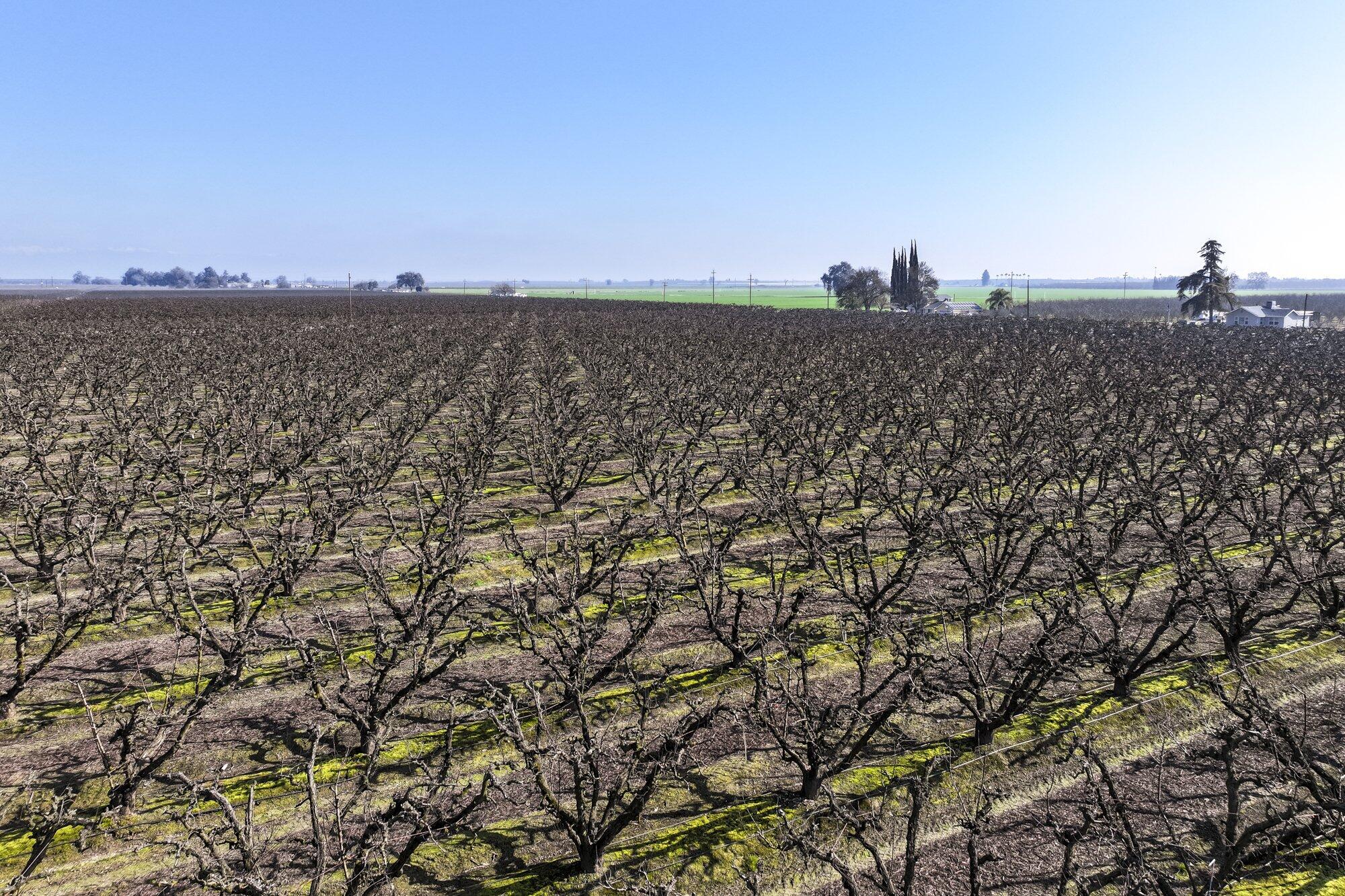 0 Elder Ave, Hanford, CA 93230