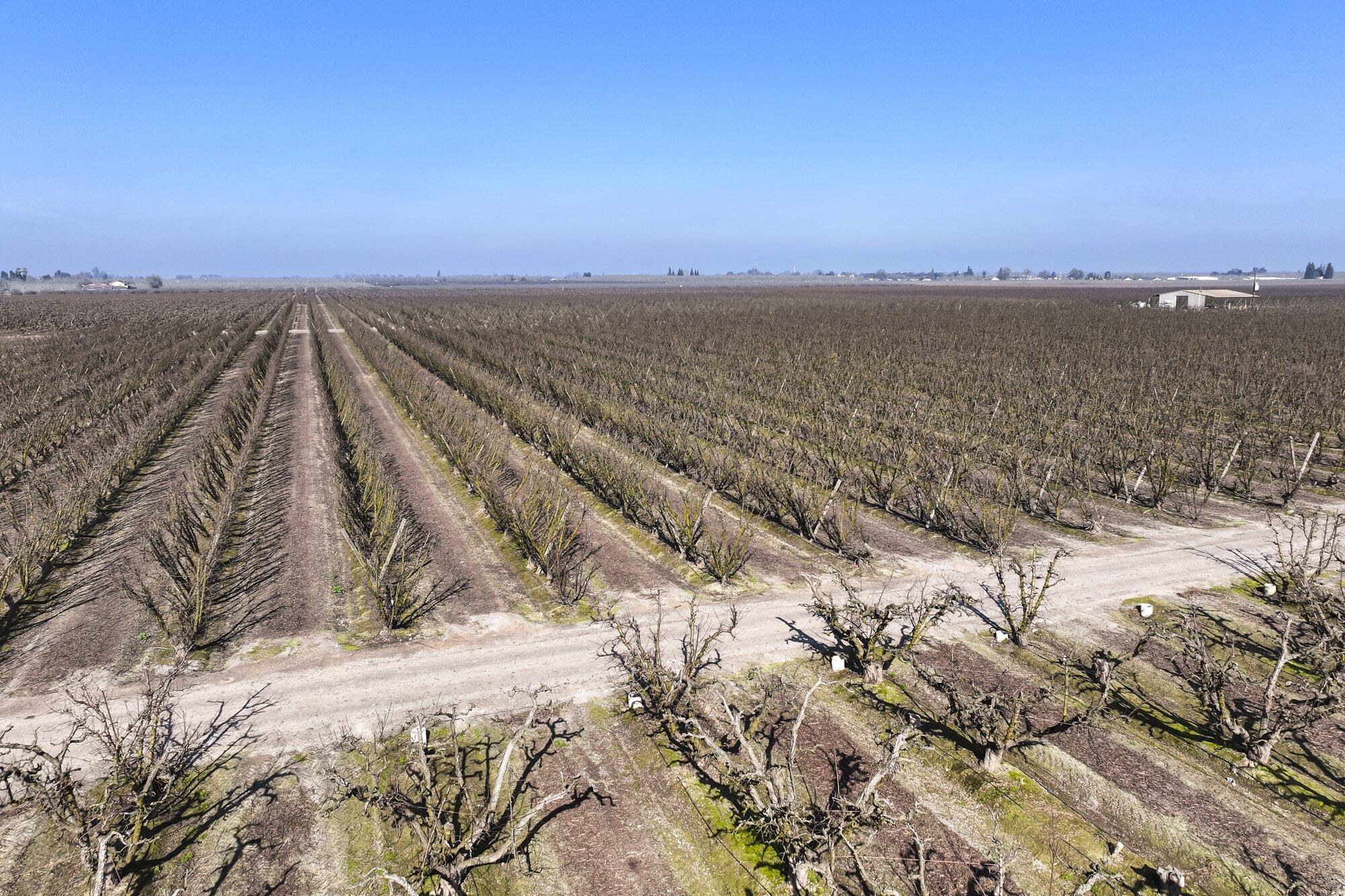 0 Elder Ave, Hanford, CA 93230