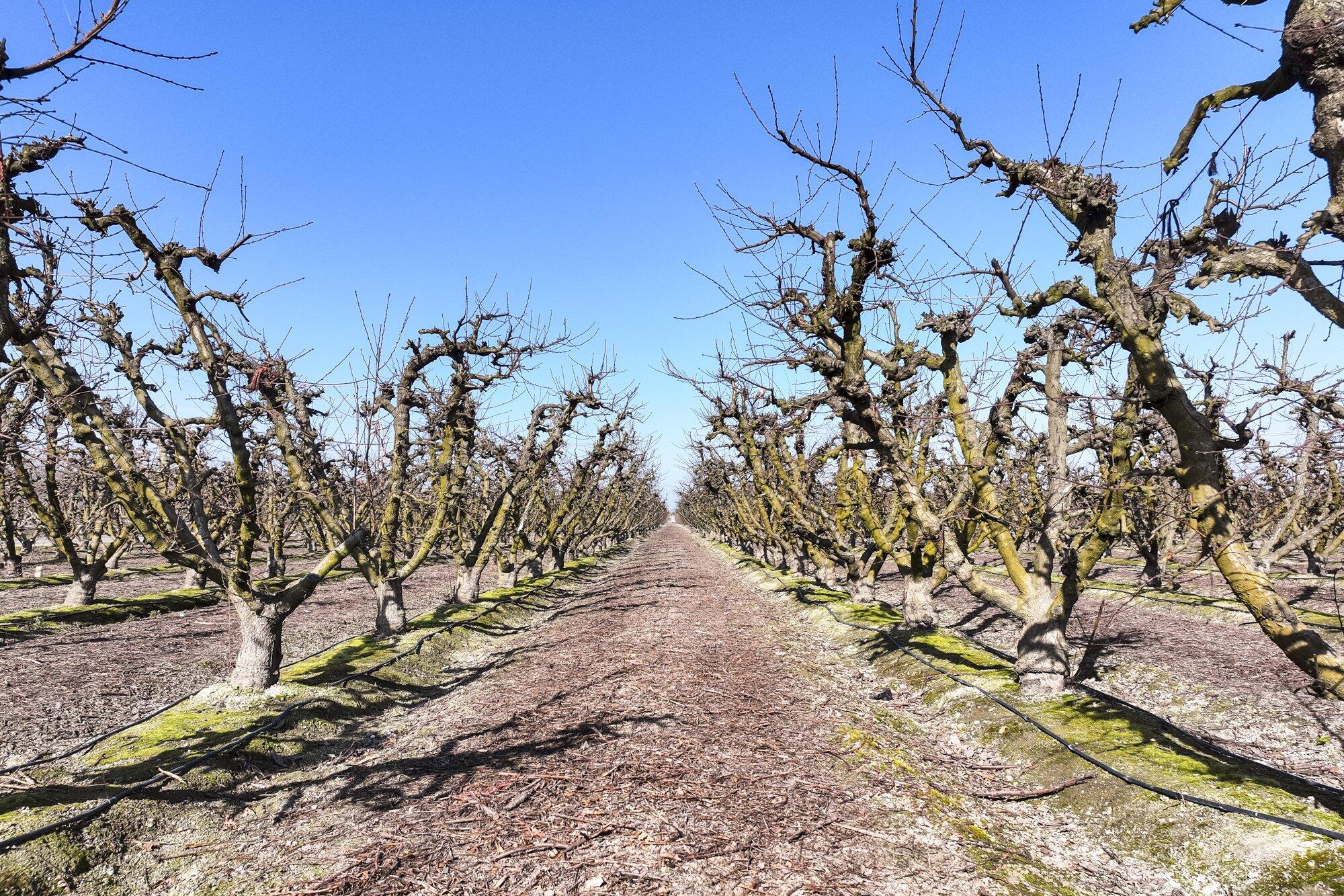 0 Elder Ave, Hanford, CA 93230