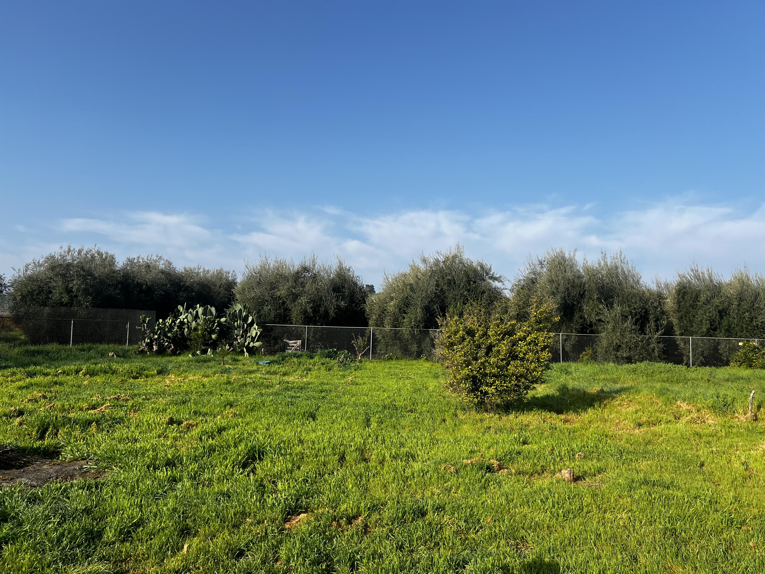 24101 Rd 224 #224 A, Lindsay, CA 93247