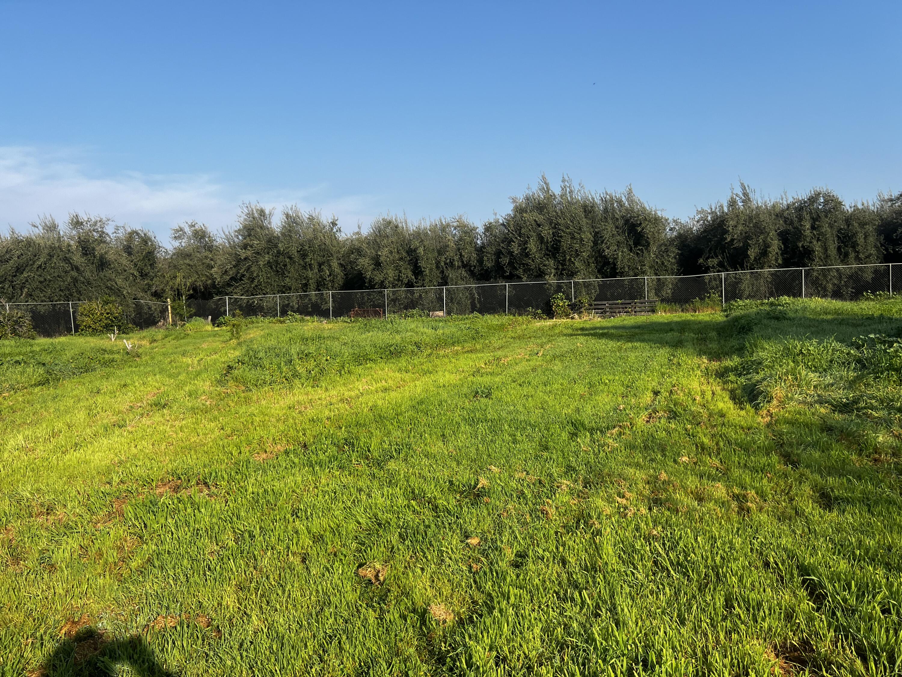 24101 Rd 224 #224 A, Lindsay, CA 93247