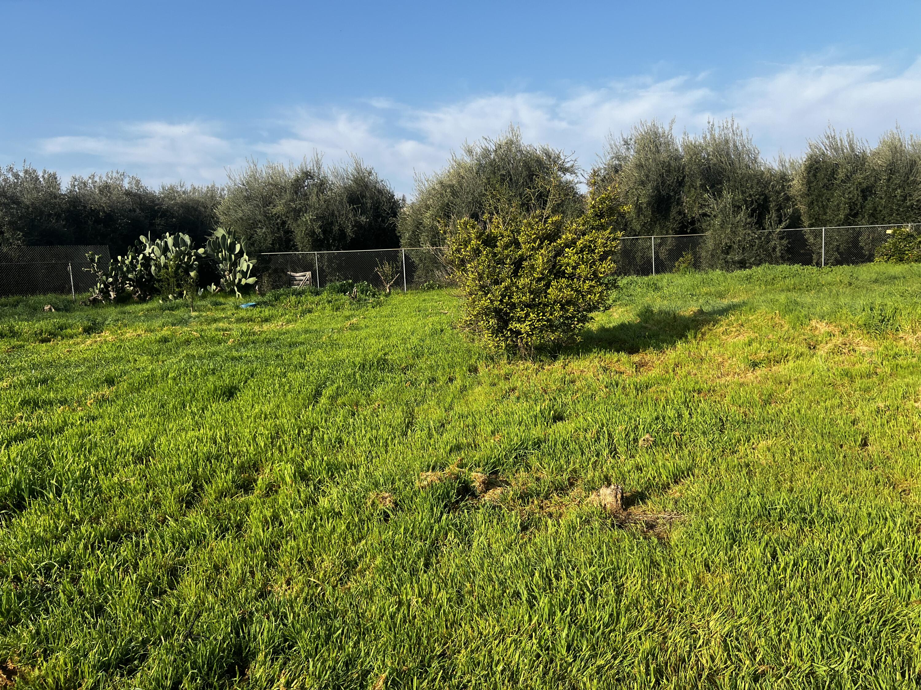 24101 Rd 224 #224 A, Lindsay, CA 93247