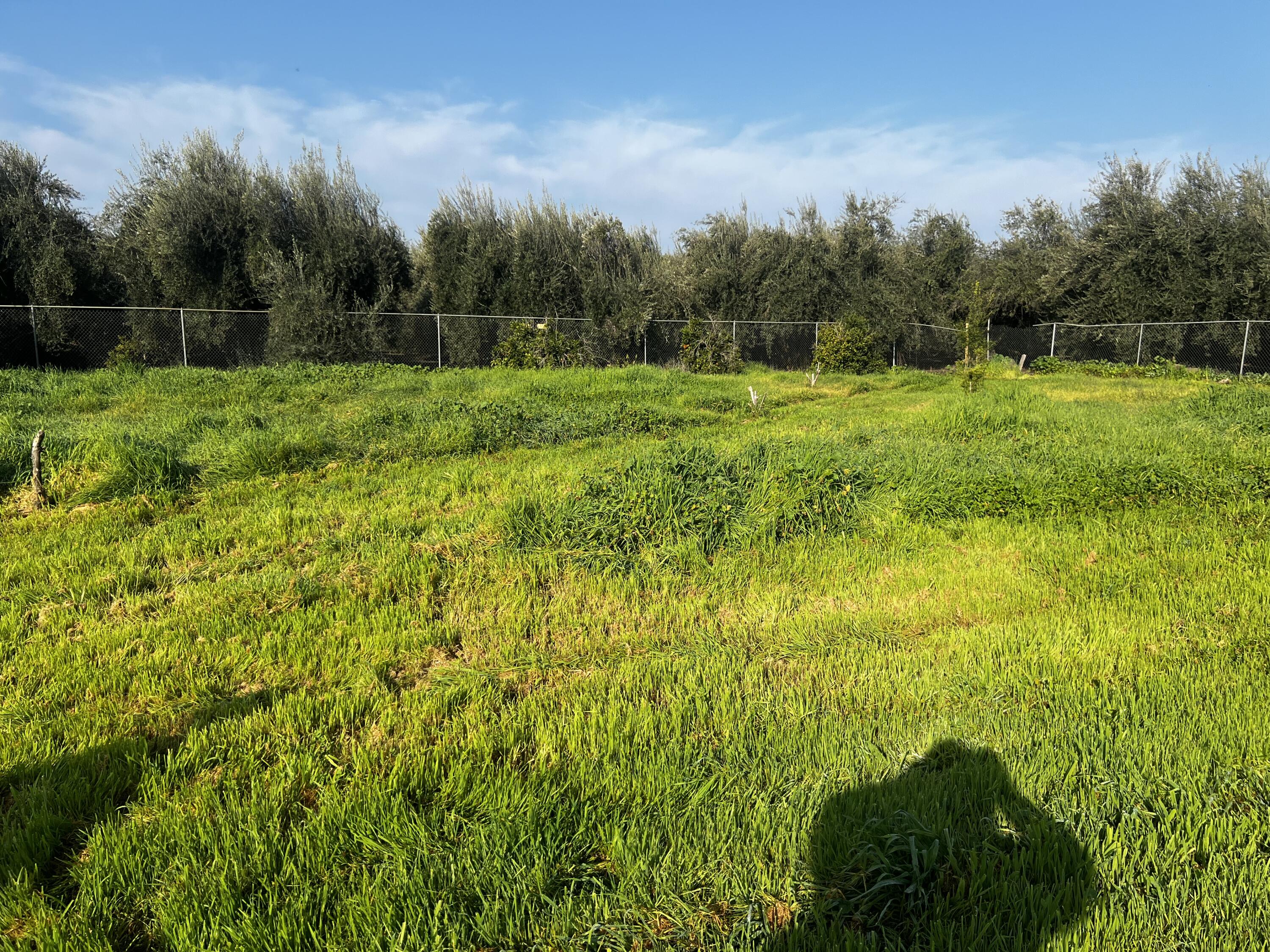 24101 Rd 224 #224 A, Lindsay, CA 93247