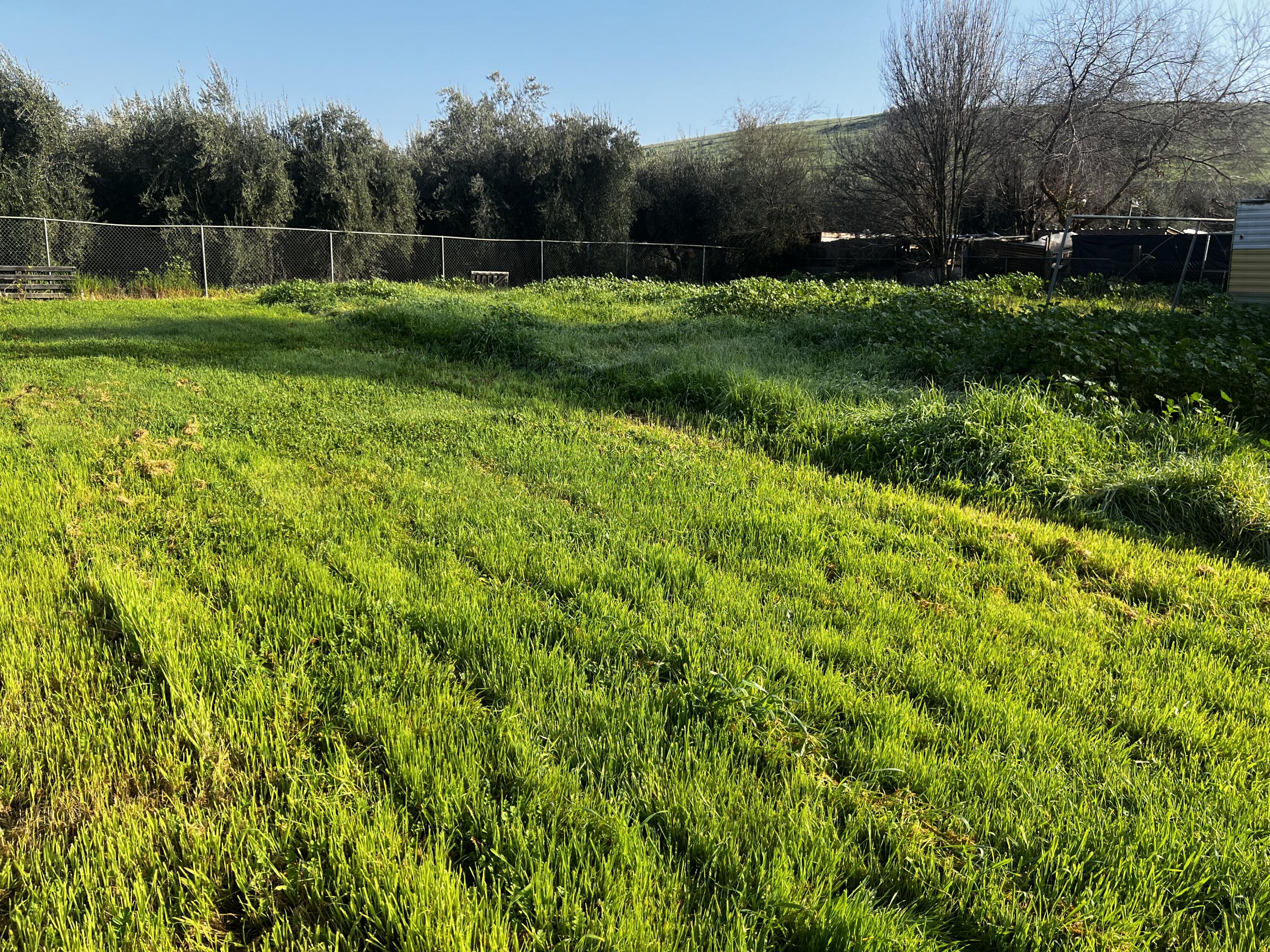 24101 Rd 224 #224 A, Lindsay, CA 93247