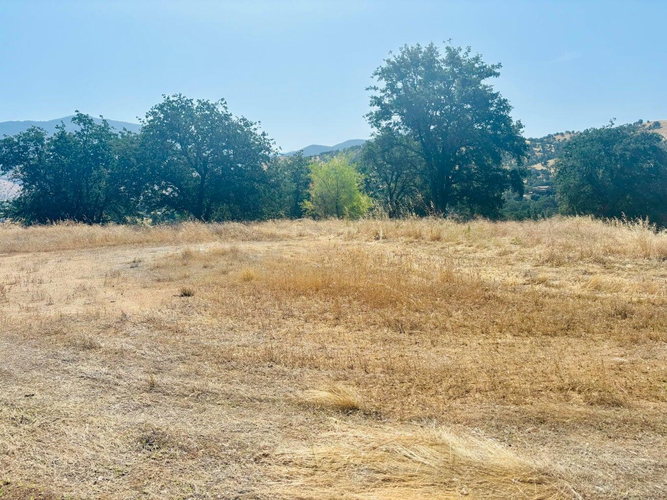 16295 Wrangler Dr, Springville, CA 93265