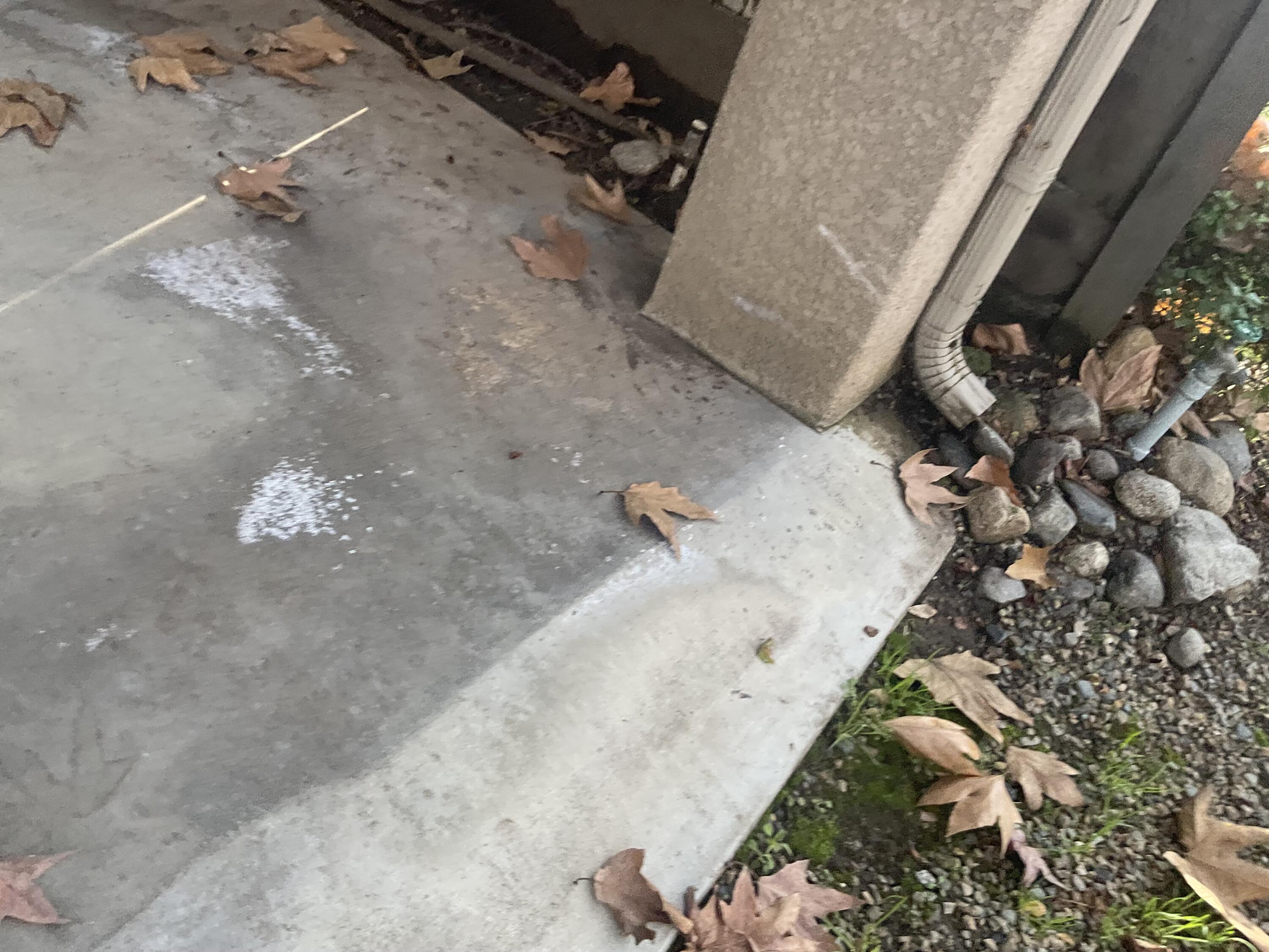 43788 Northfork Dr, Three Rivers, CA 93271