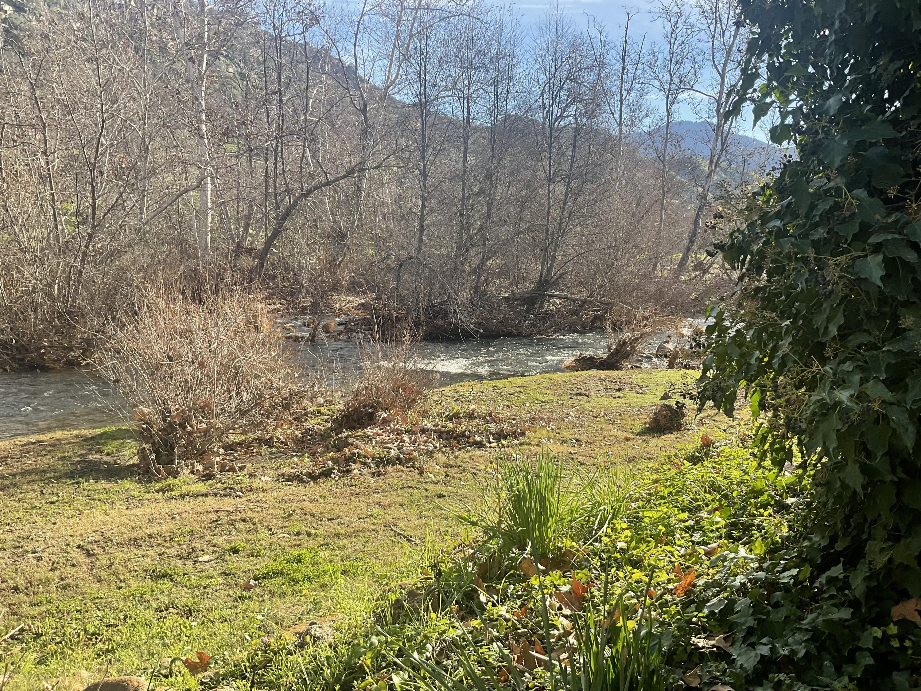 43788 Northfork Dr, Three Rivers, CA 93271