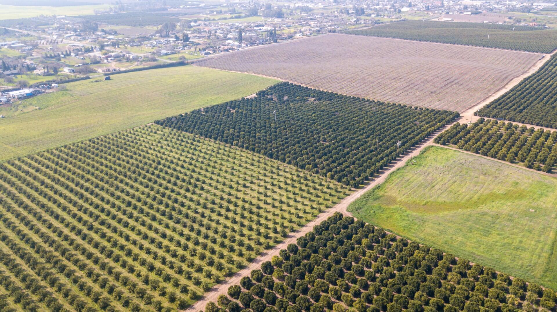 0 Ave 100/rd 244, Terra Bella, CA 93270