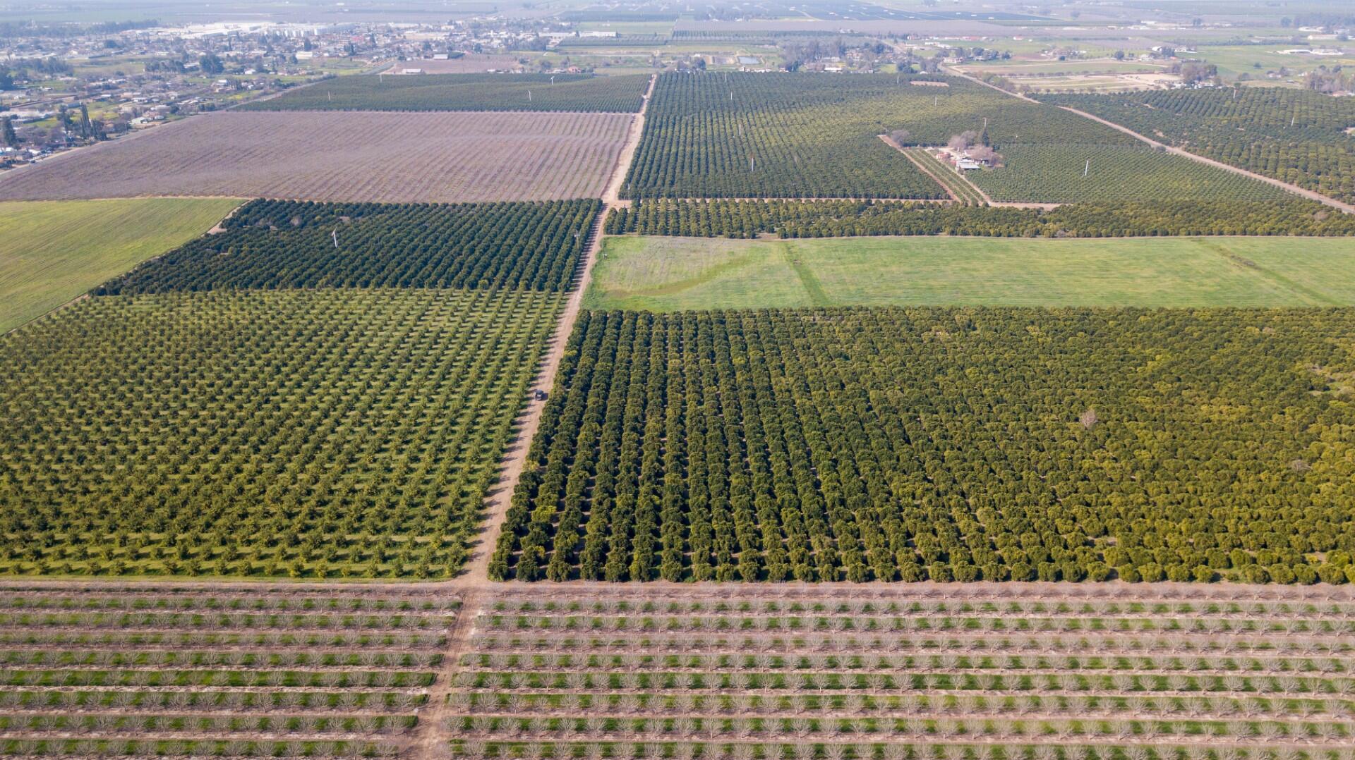 0 Ave 100/rd 244, Terra Bella, CA 93270