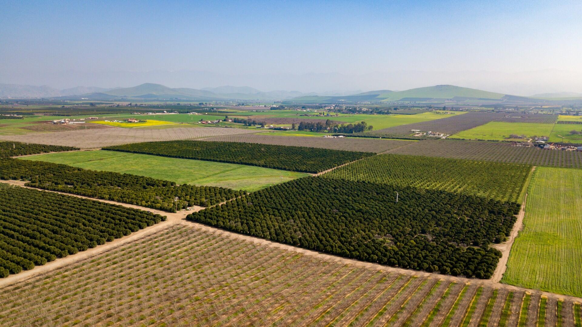 0 Ave 100/rd 244, Terra Bella, CA 93270