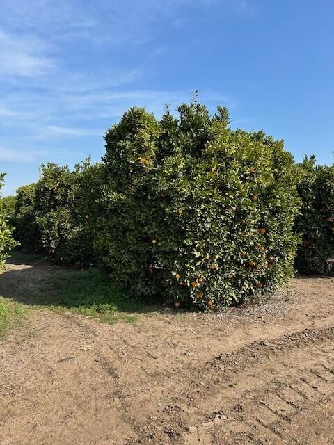 0 Ave 100/rd 244, Terra Bella, CA 93270