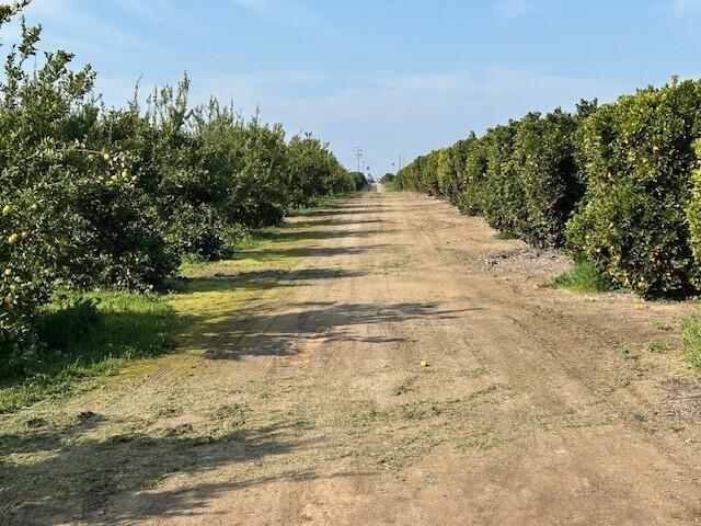 0 Ave 100/rd 244, Terra Bella, CA 93270