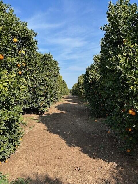 0 Ave 100/rd 244, Terra Bella, CA 93270