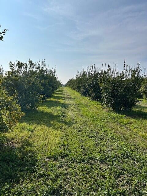 0 Ave 100/rd 244, Terra Bella, CA 93270