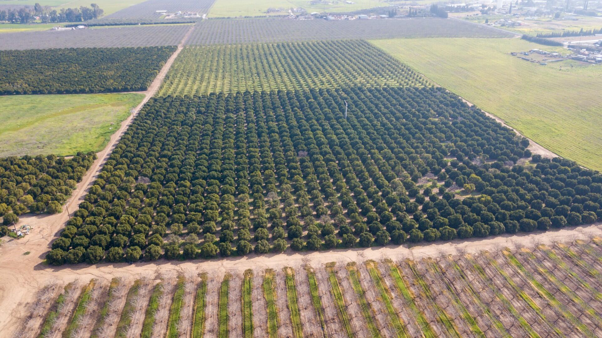 0 Ave 100/rd 244, Terra Bella, CA 93270