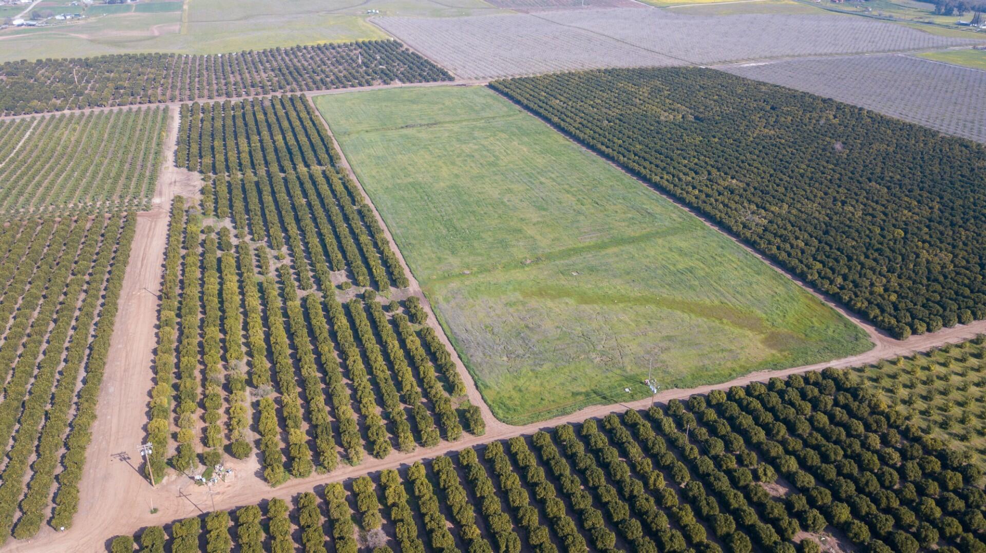 0 Ave 100/rd 244, Terra Bella, CA 93270