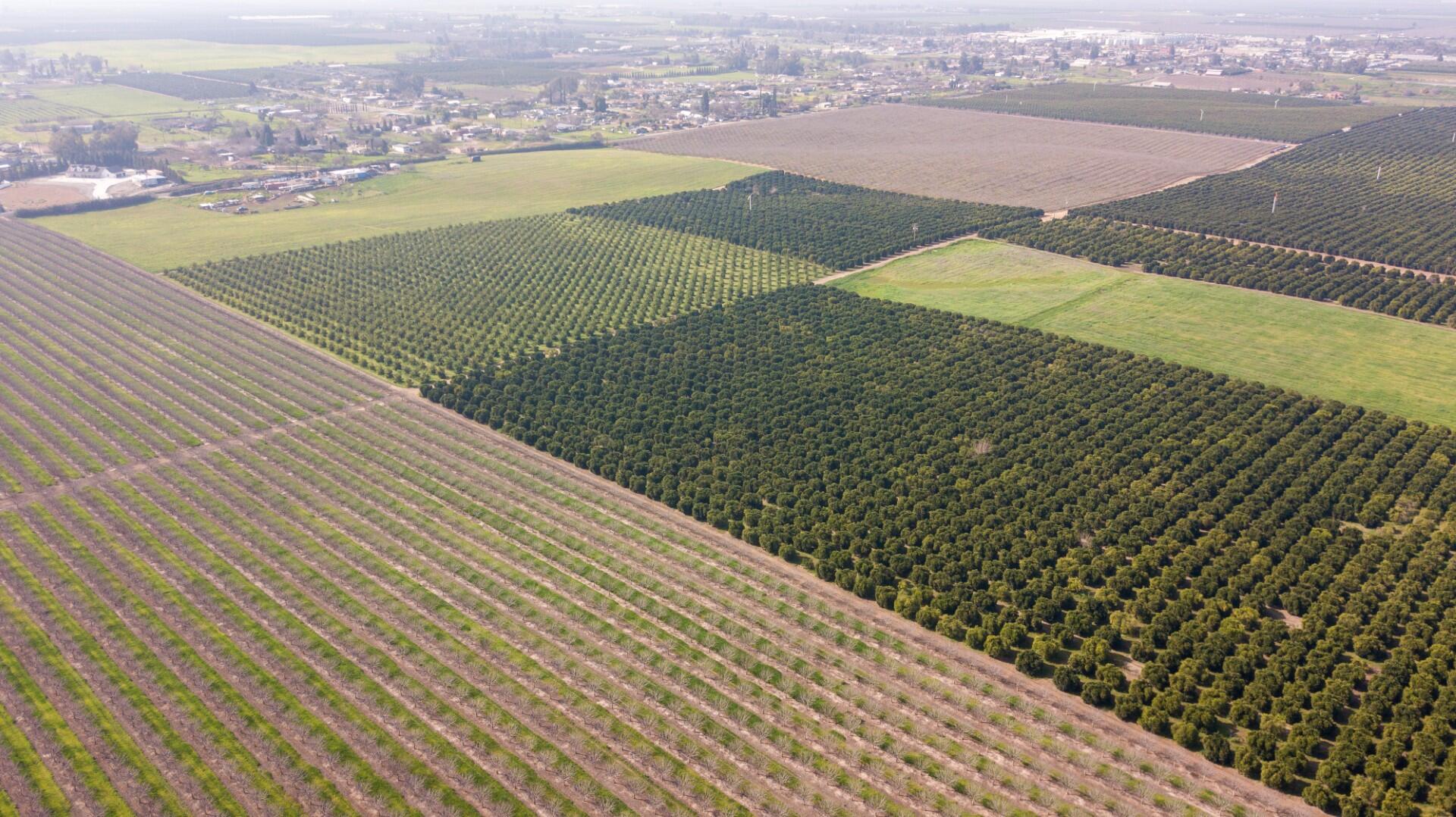 0 Ave 100/rd 244, Terra Bella, CA 93270