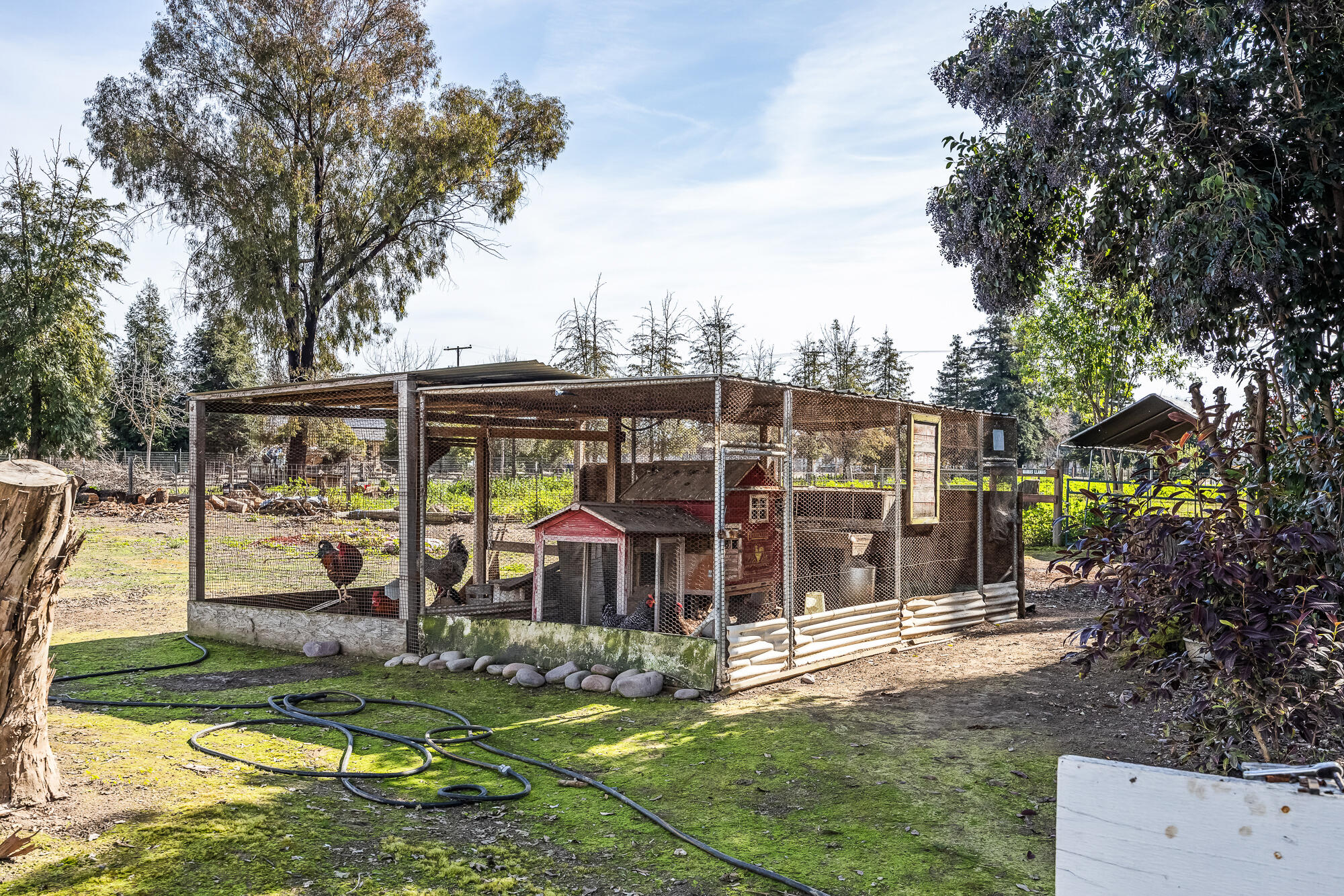 1138 Riverway Dr, Visalia, CA 93291