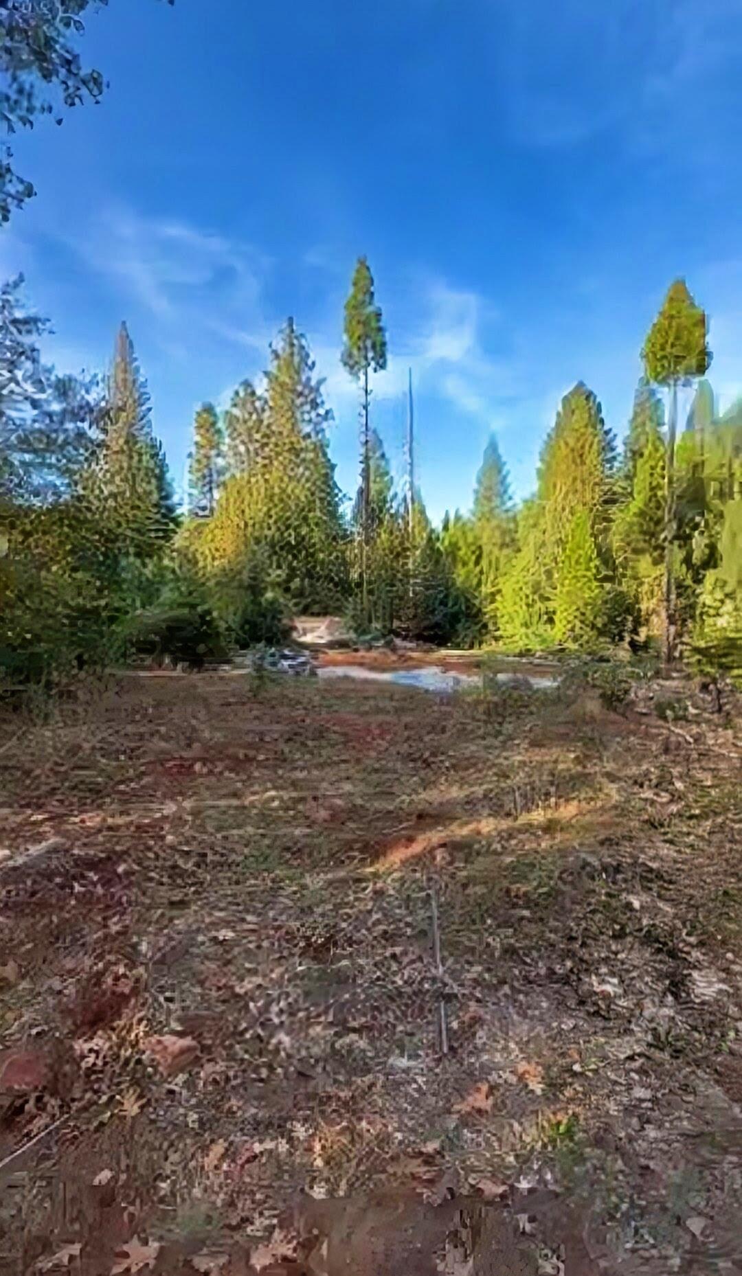 9117 Leyval Way, Forbestown, CA 95919