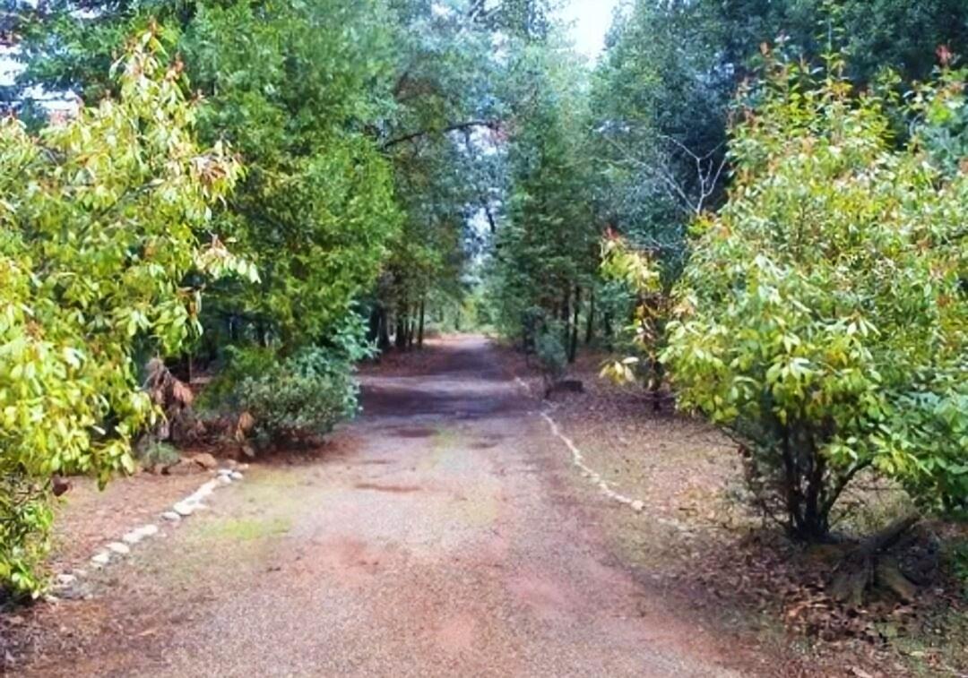 9117 Leyval Way, Forbestown, CA 95919