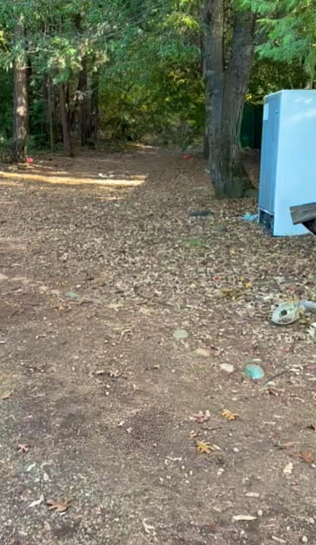 9117 Leyval Way, Forbestown, CA 95919