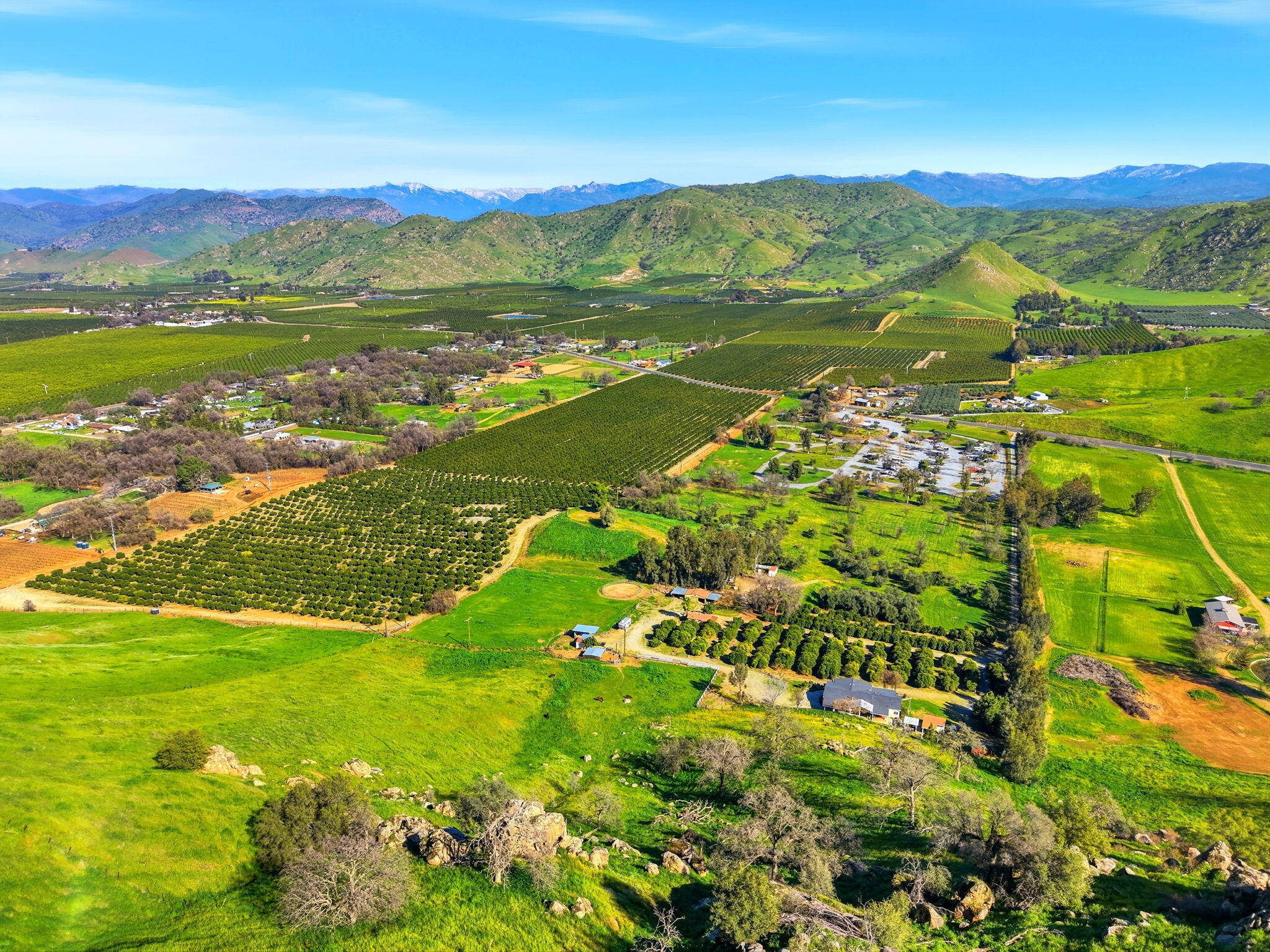 31967 Sierra Dr, Lemon Cove, CA 93244