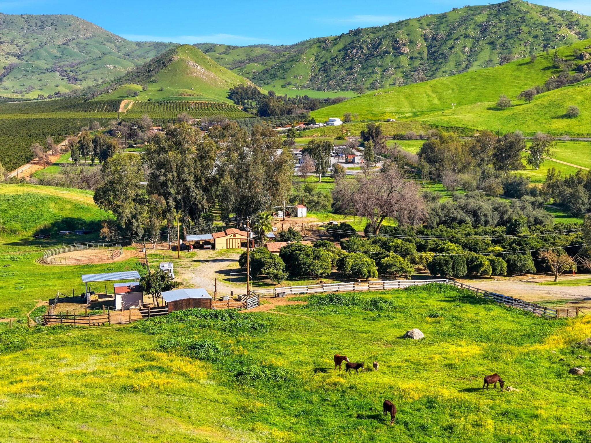 31967 Sierra Dr, Lemon Cove, CA 93244