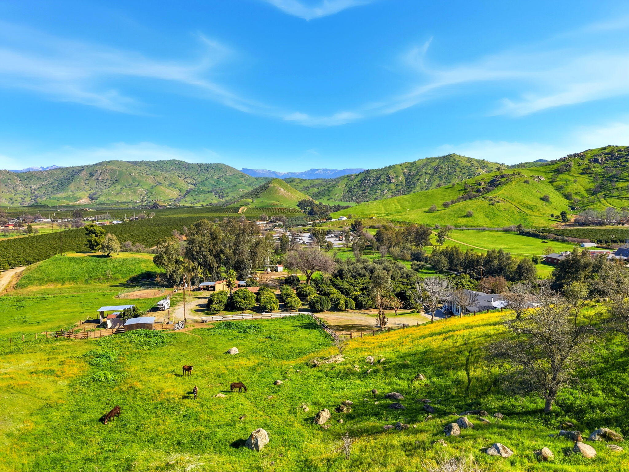 31967 Sierra Dr, Lemon Cove, CA 93244