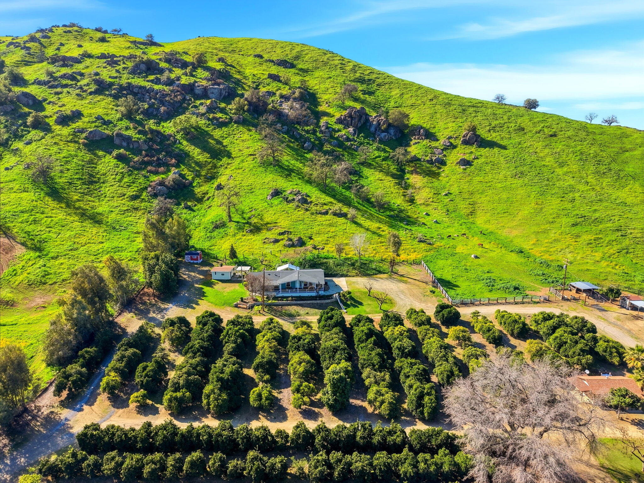 31967 Sierra Dr, Lemon Cove, CA 93244