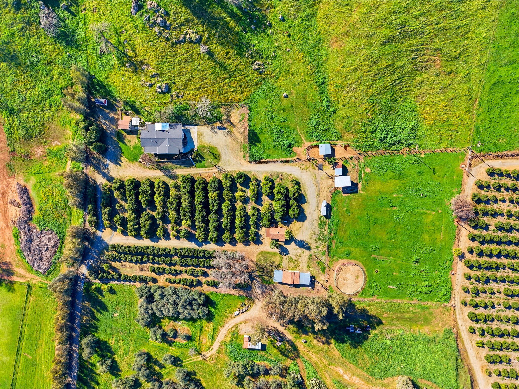 31967 Sierra Dr, Lemon Cove, CA 93244