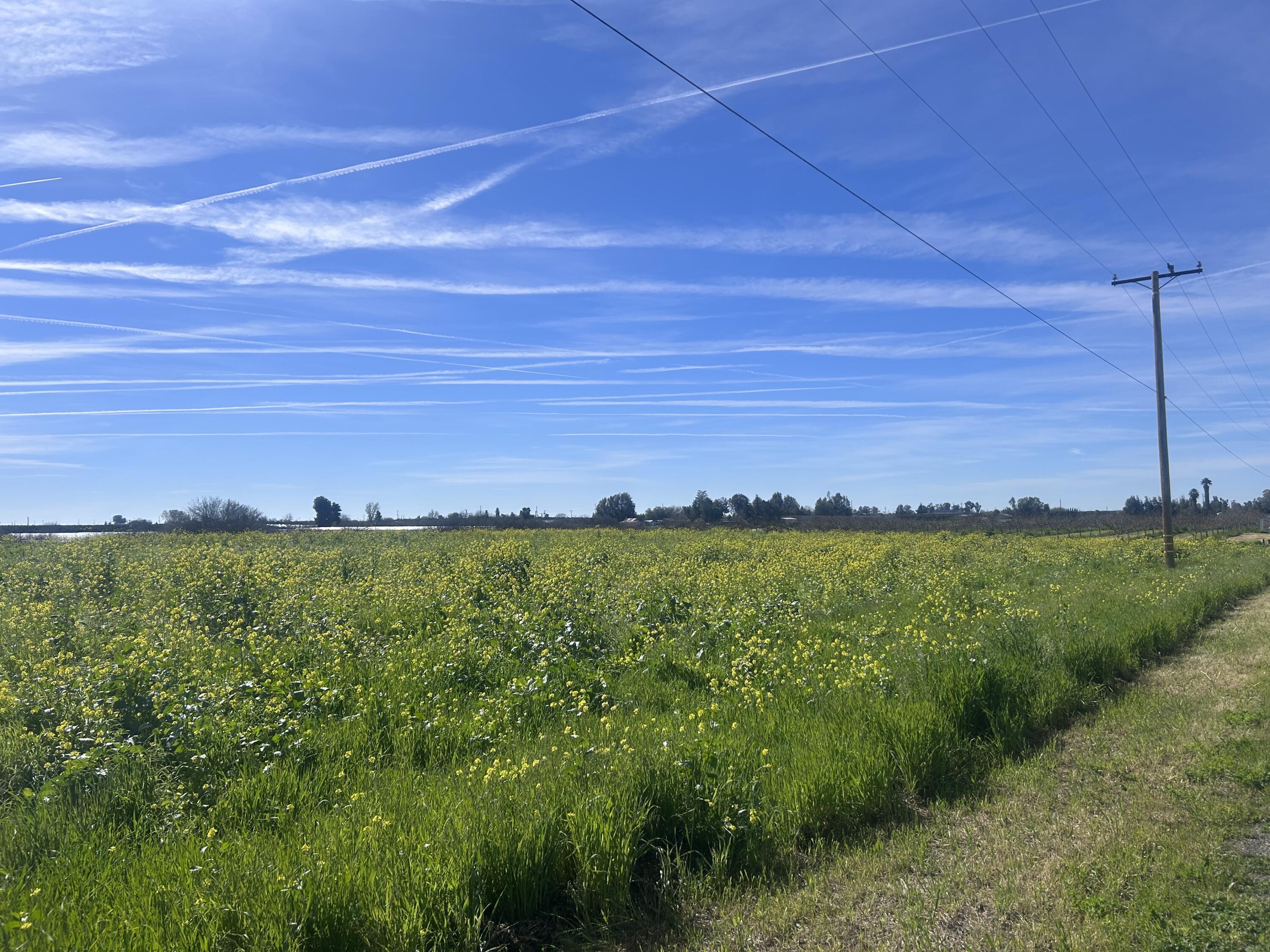 0 SE SE Avenue 88 Ave, Terra Bella, CA 93270