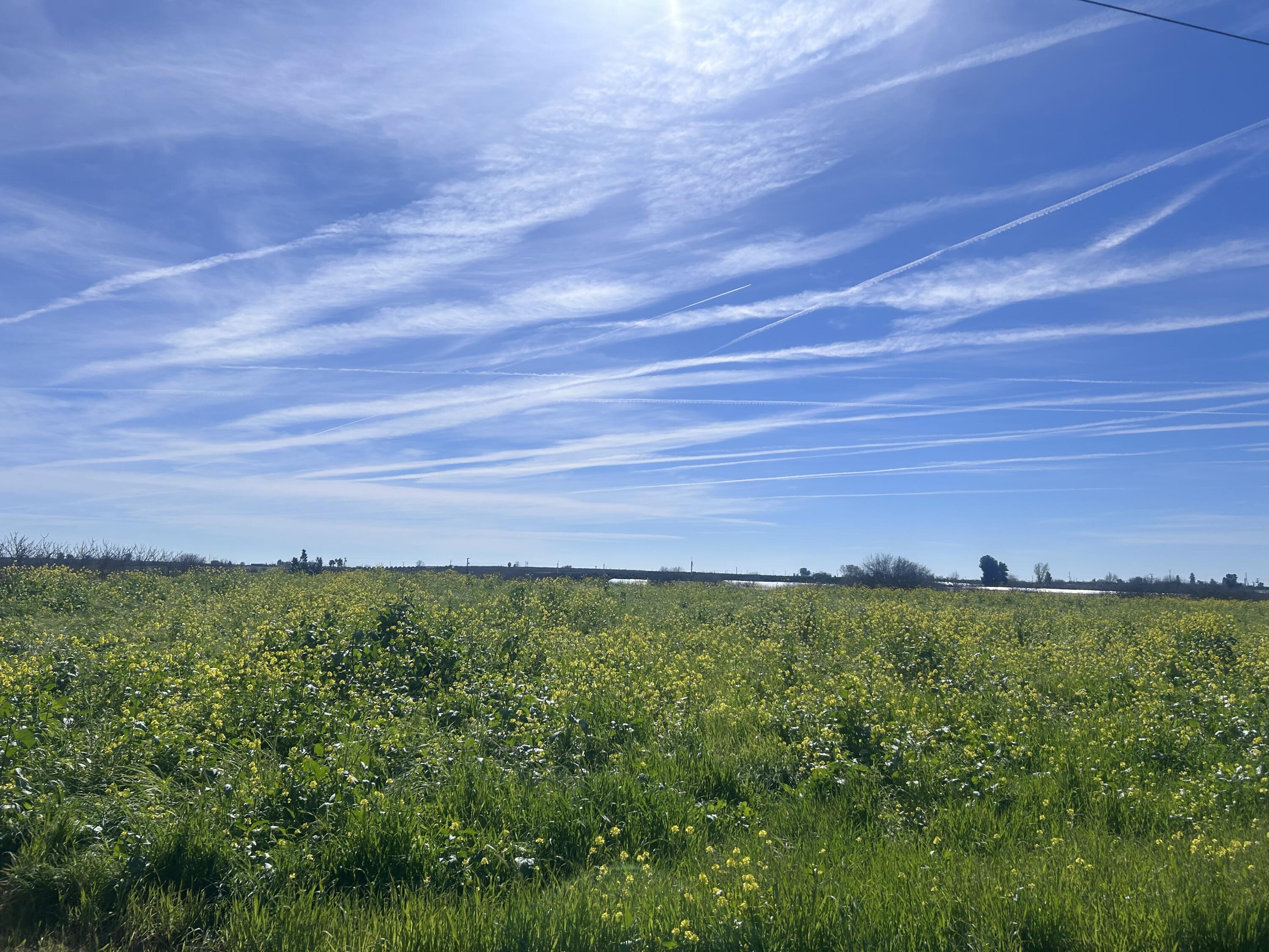 0 SE SE Avenue 88 Ave, Terra Bella, CA 93270