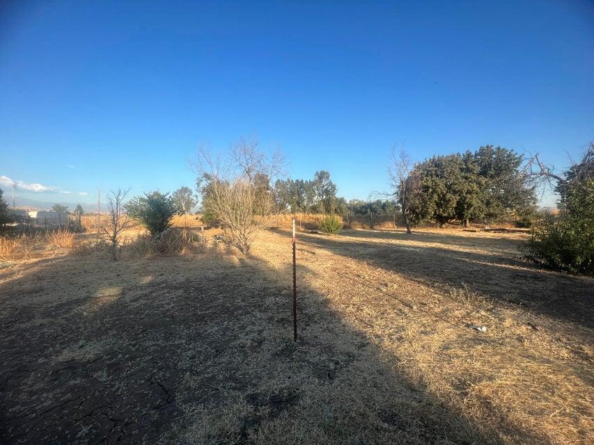 000 Avenue Avenue 192, Strathmore, CA 93267