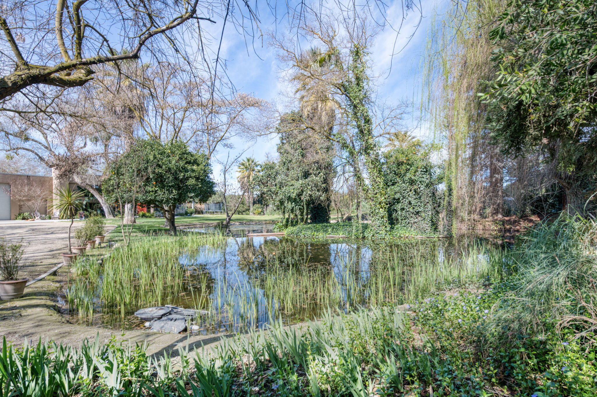 41339 Road 52, Reedley, CA 93654