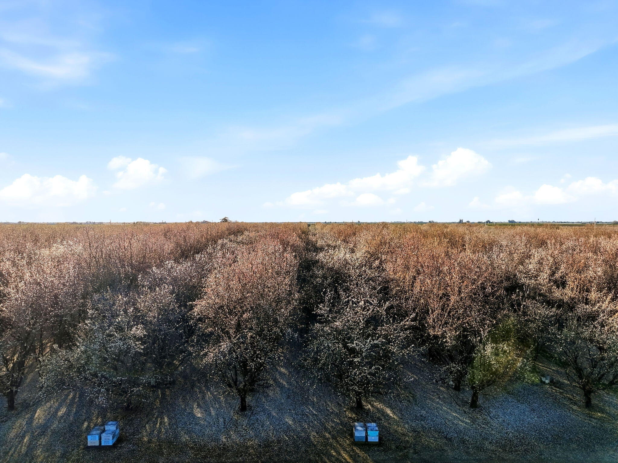 39532 Road 104, Dinuba, CA 93618