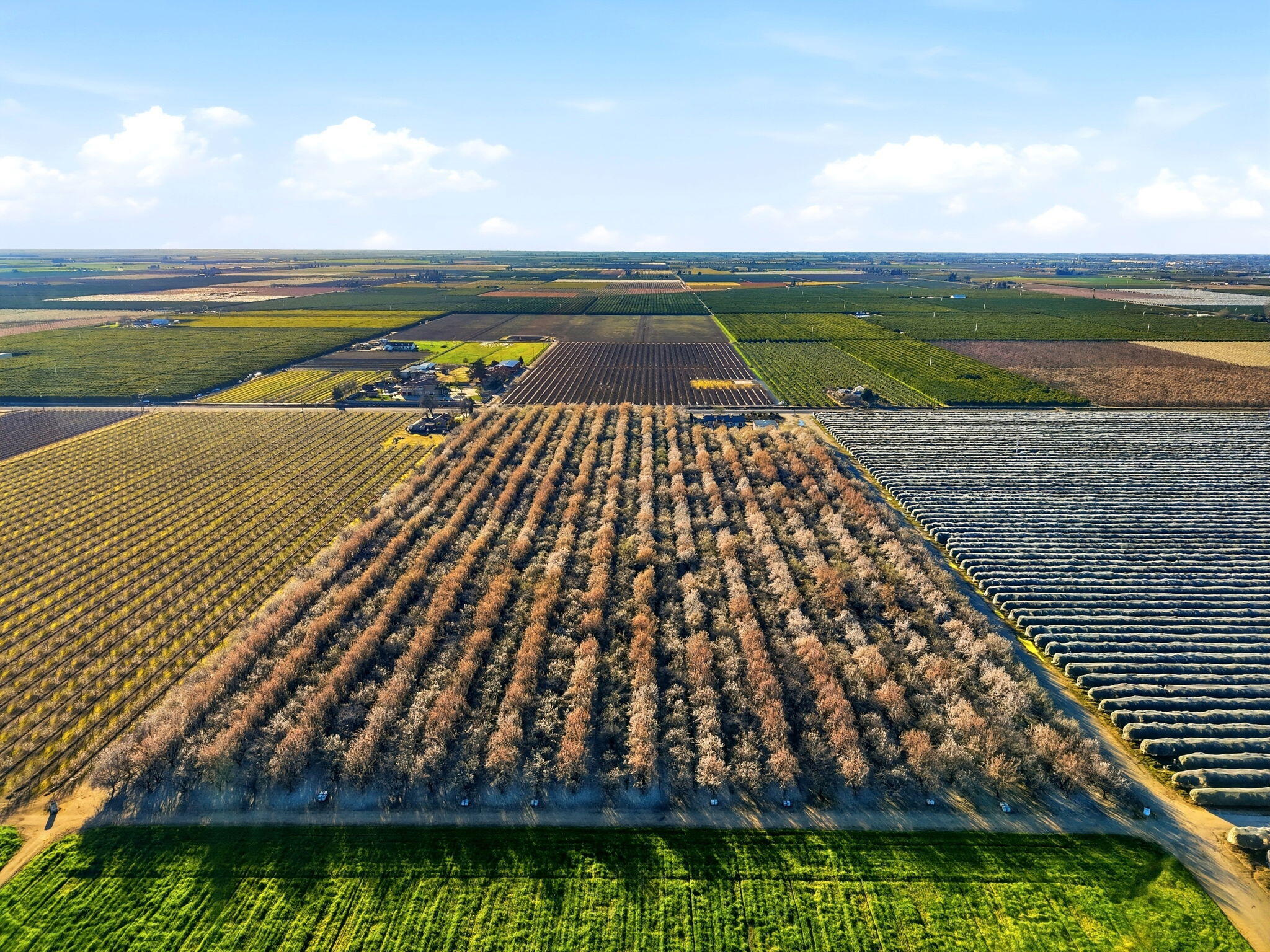 39532 Road 104, Dinuba, CA 93618