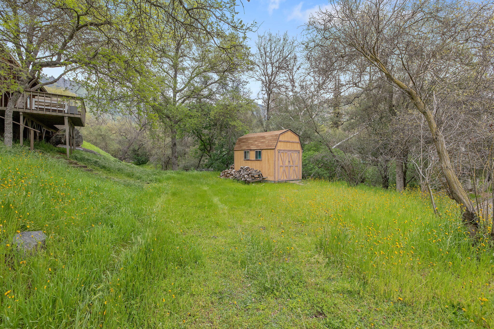 43677 Washburn Dr, Three Rivers, CA 93271