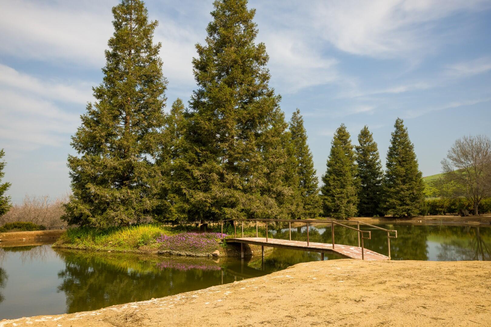 24211 Johns Dr, Porterville, CA 93257